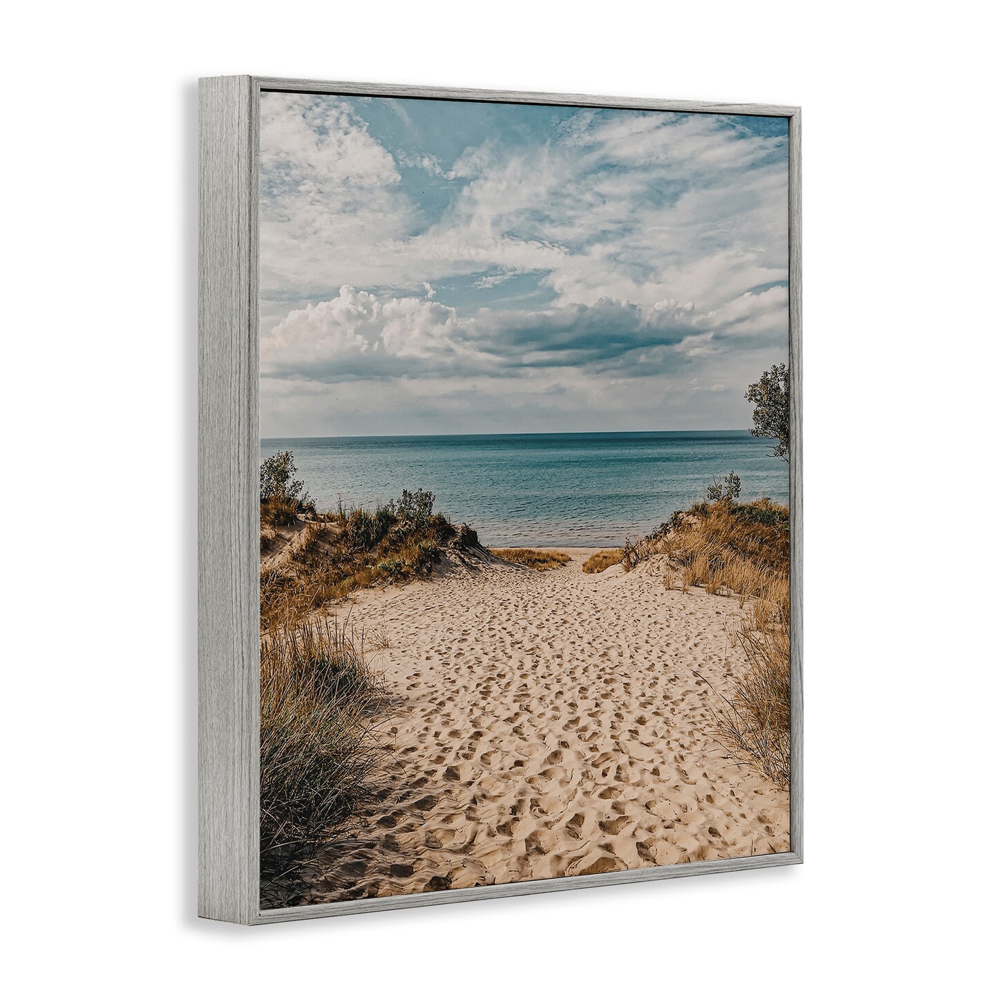 Stupell Industries Traveled Beach Path Framed Giclee Wall Art Design by LSR Design Studio