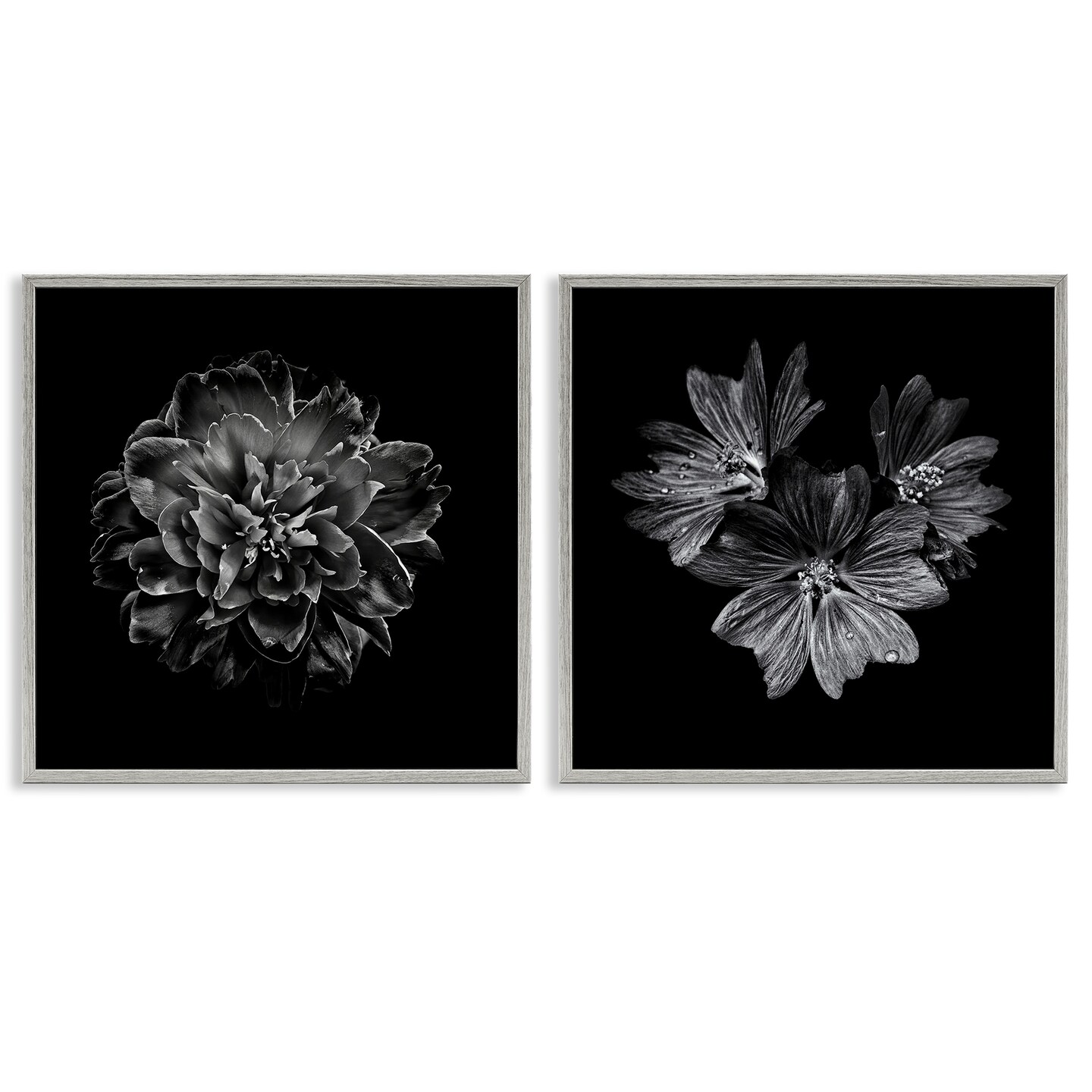 Stupell Industries Blossoms with Water Droplets 2pc Framed Giclee Wall Art Set Design by Brian Carson