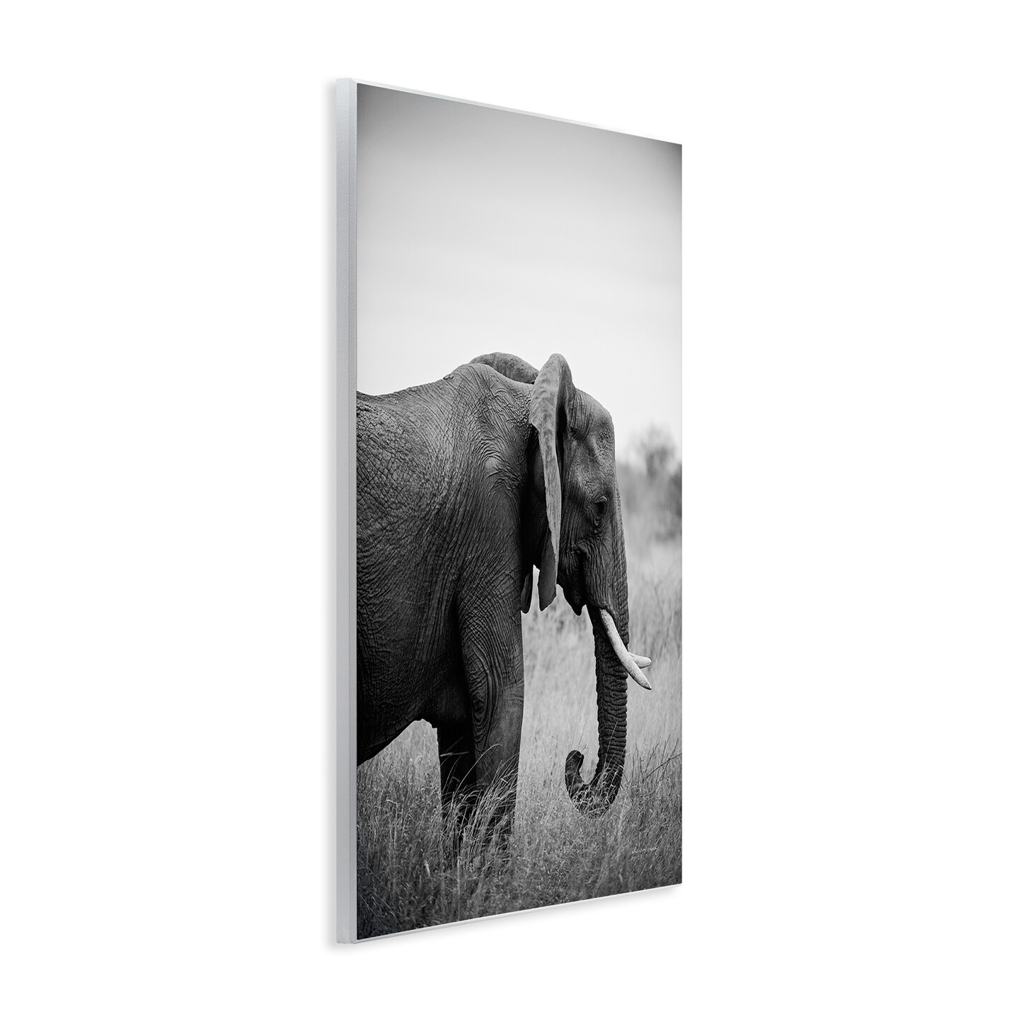 Stupell Industries Side Profile Elephant Wall Plaque Art Design by Sharon Vardy