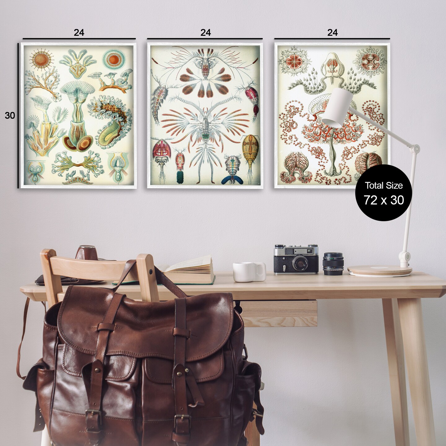 Stupell Industries Vintage Microscopic Crustaceans 3pc Framed Giclee Wall Art Set Design by Graffi*tee Studios