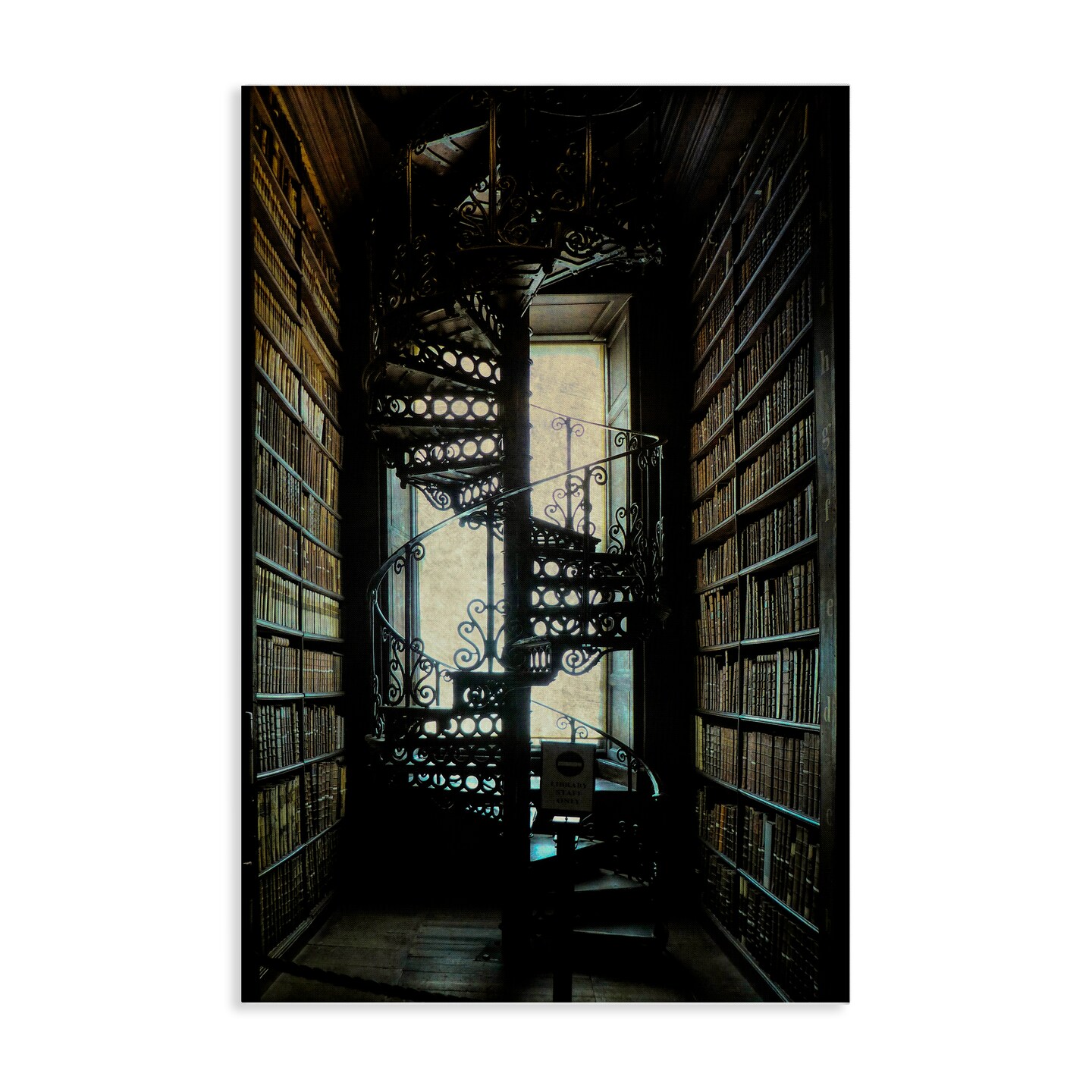 Stupell Industries Vintage Library Spiral Stairs Canvas Wall Art Design by Graffi*tee Studios