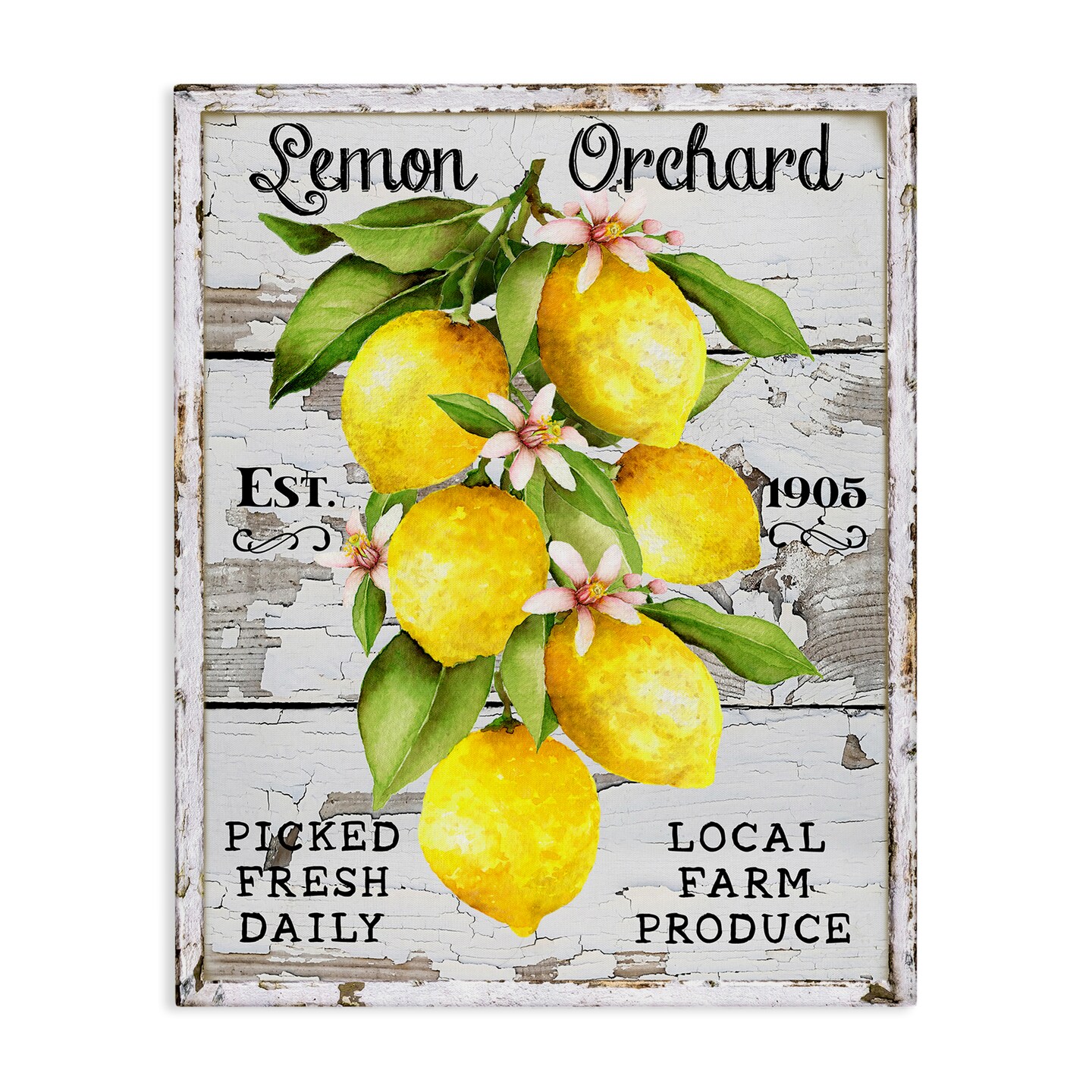 Stupell Industries Lemon Orchard Market Canvas Wall Art Design by Creatif Belle