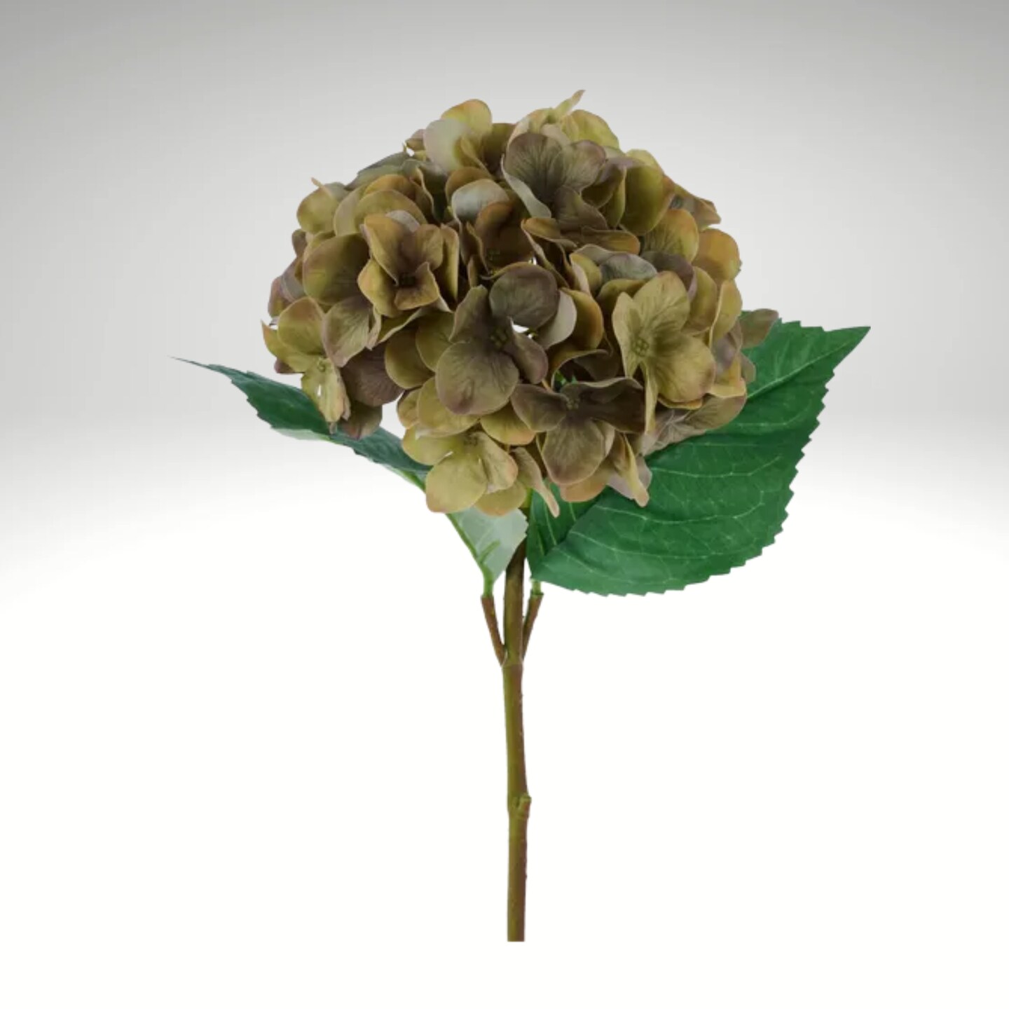 Real Touch Green Hydrangea Stem – 20” Artificial Flower for Arrangements & Home Decor-FS387730