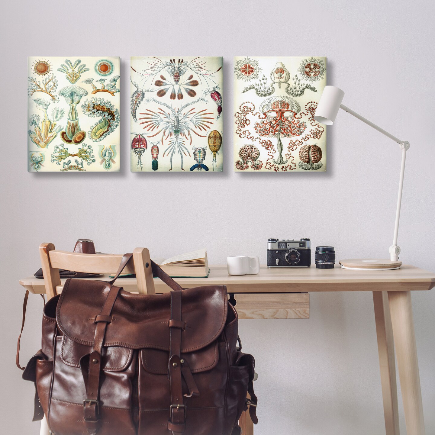 Stupell Industries Vintage Microscopic Crustaceans 3pc Canvas Wall Art Set Design by Graffi*tee Studios