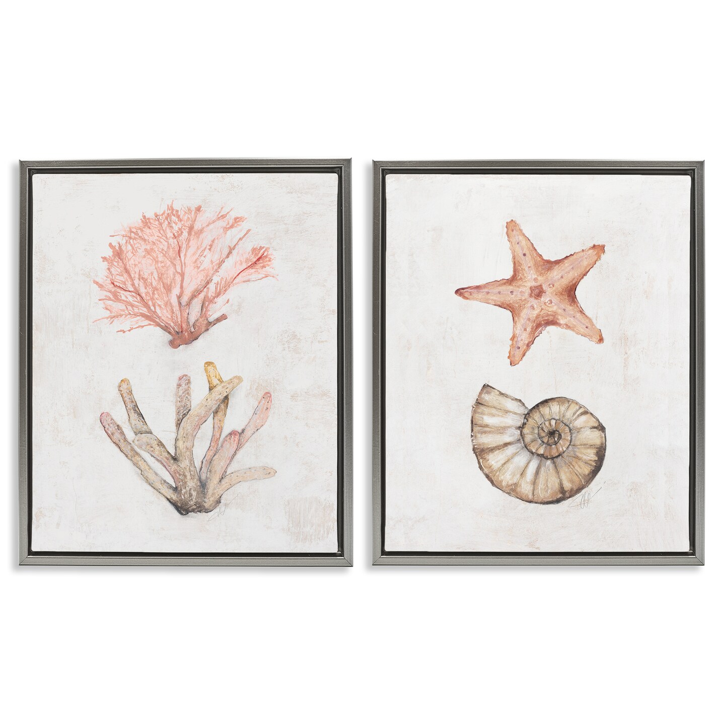 Stupell Industries Neutral Pastel Sea Life 2pc Floater Framed Canvas Wall Art Set Design by Filippo Ioco