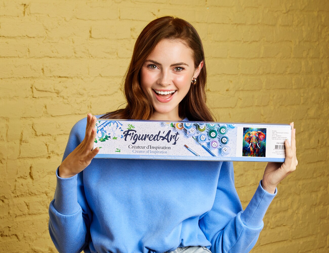 Figured'Art Paint by Numbers for Adults Colorful Abstract Elephant 16"x20" - Craft Art Painting DIY Kit Rolled Canvas Without Frame