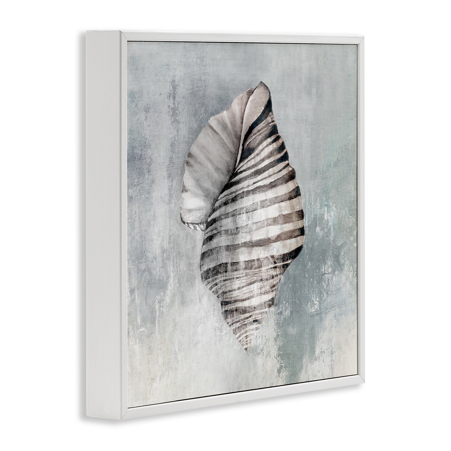 Stupell Industries Organic Twisted Seashell Framed Giclee Wall Art Design by Eli Jones