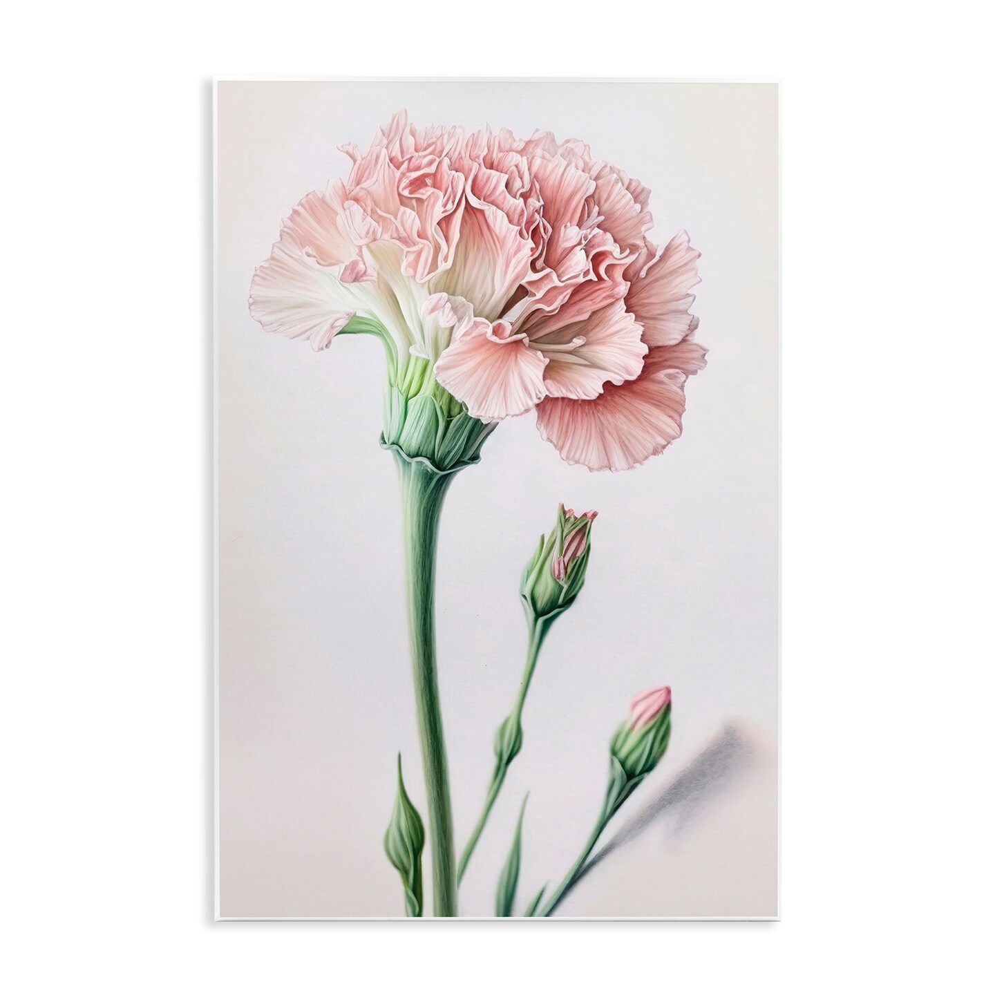 Stupell Industries Pale Carnation Budding Wall Plaque Art Design by Incado