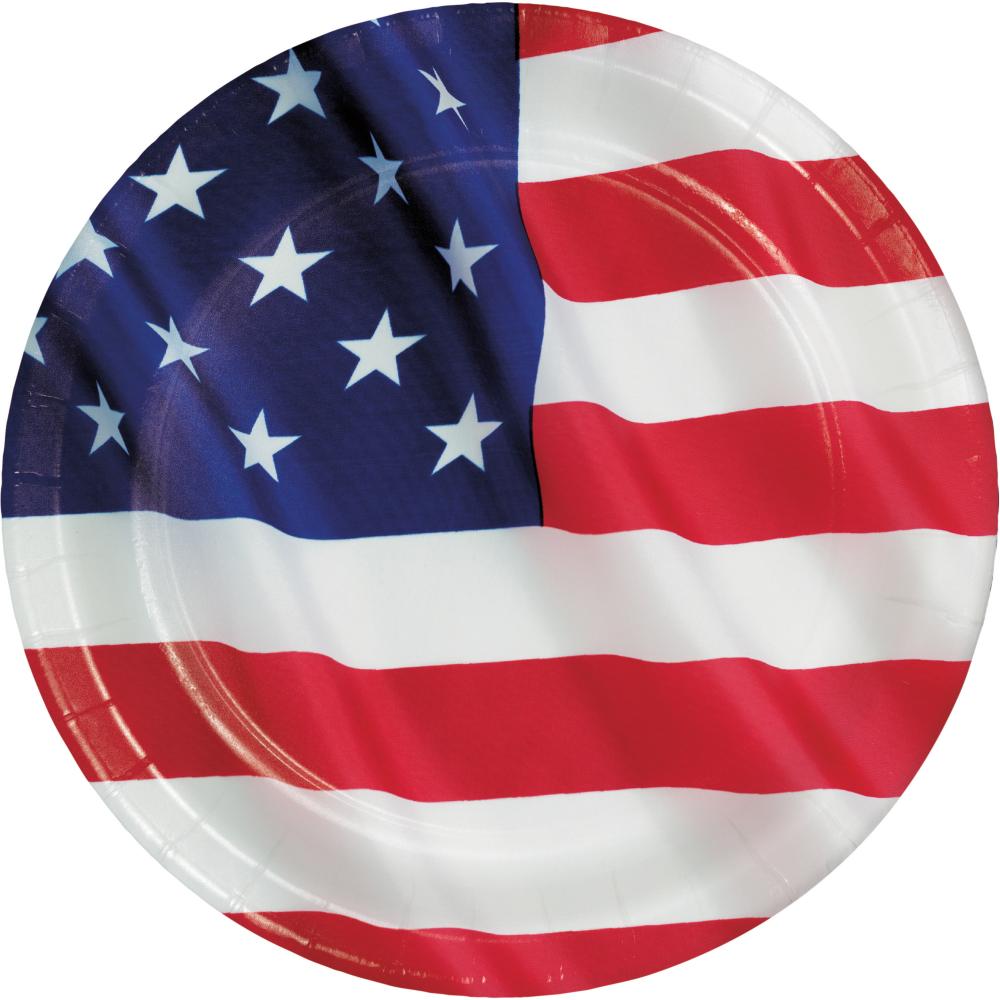 96 pc Bulk Patriotic Stars and Stripes 8.75&#x22; Dinner Plates, American Flag Design