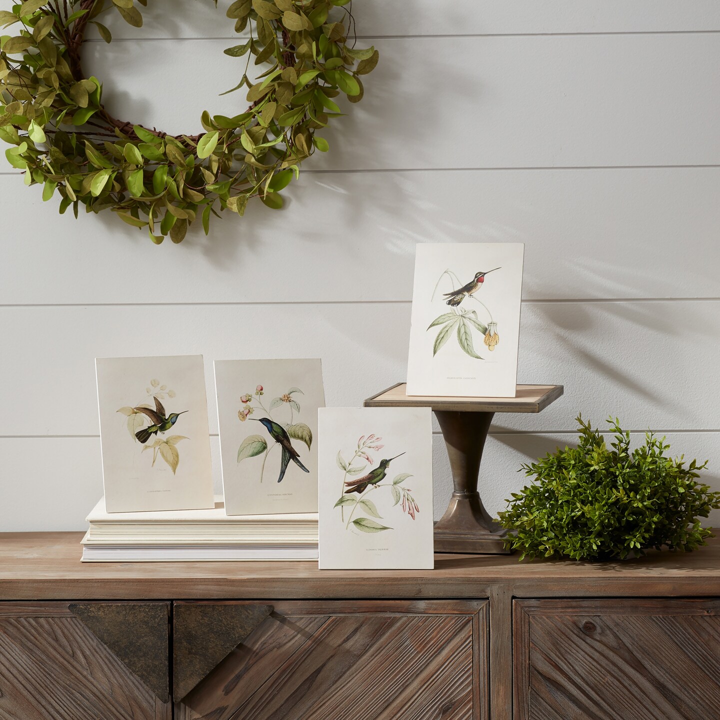 Melrose Hummingbird Bird Framed Prints - 8" x 5.5" - Set of 4