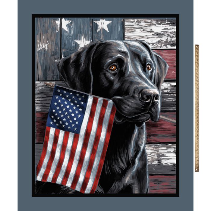 American Flag Lab Silky Premium Fleece No-Sew Throw Fleece Fabric Kit (50x60)