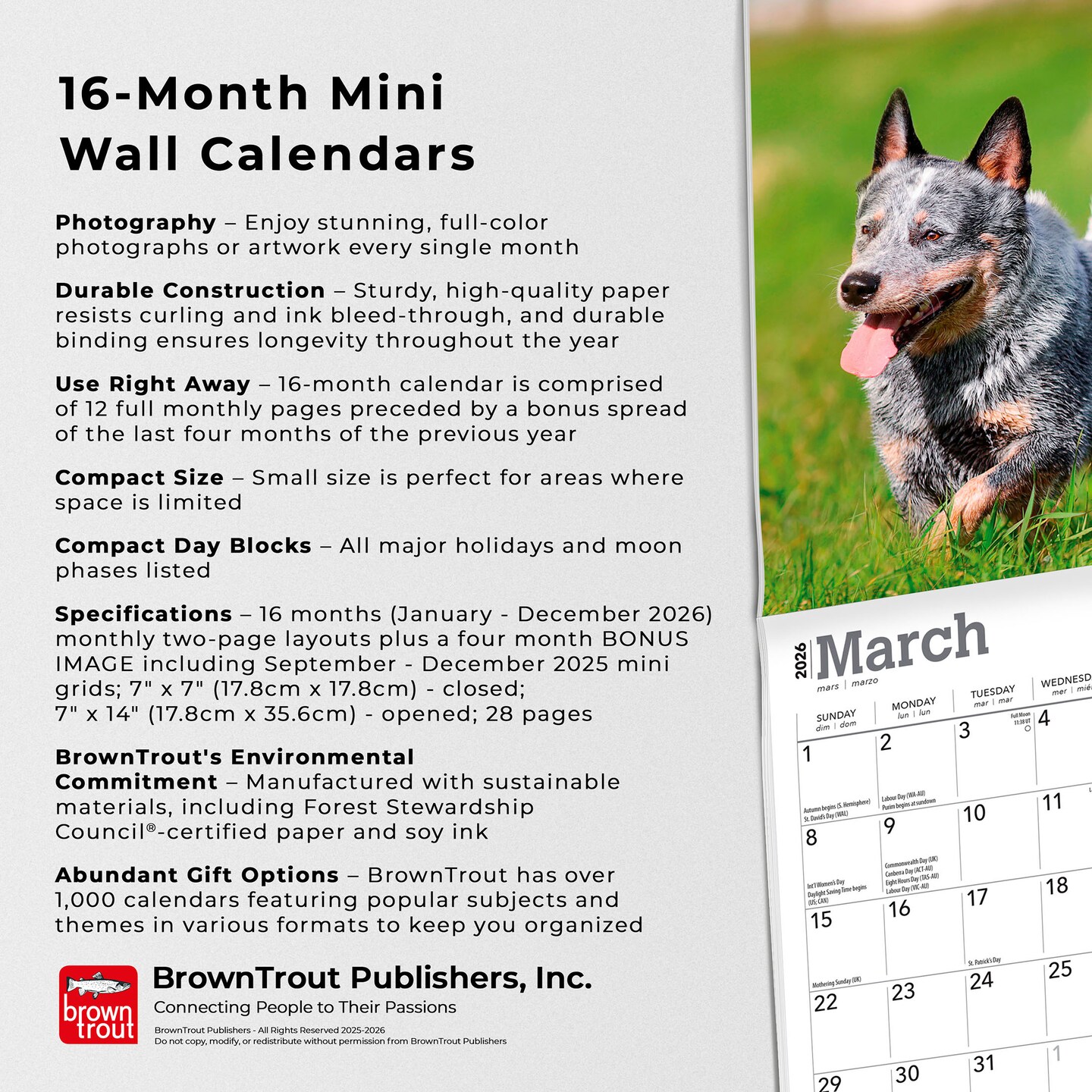 Blue Heelers | 2026 7 x 14 Inch (Hanging) Monthly Mini Wall Calendar