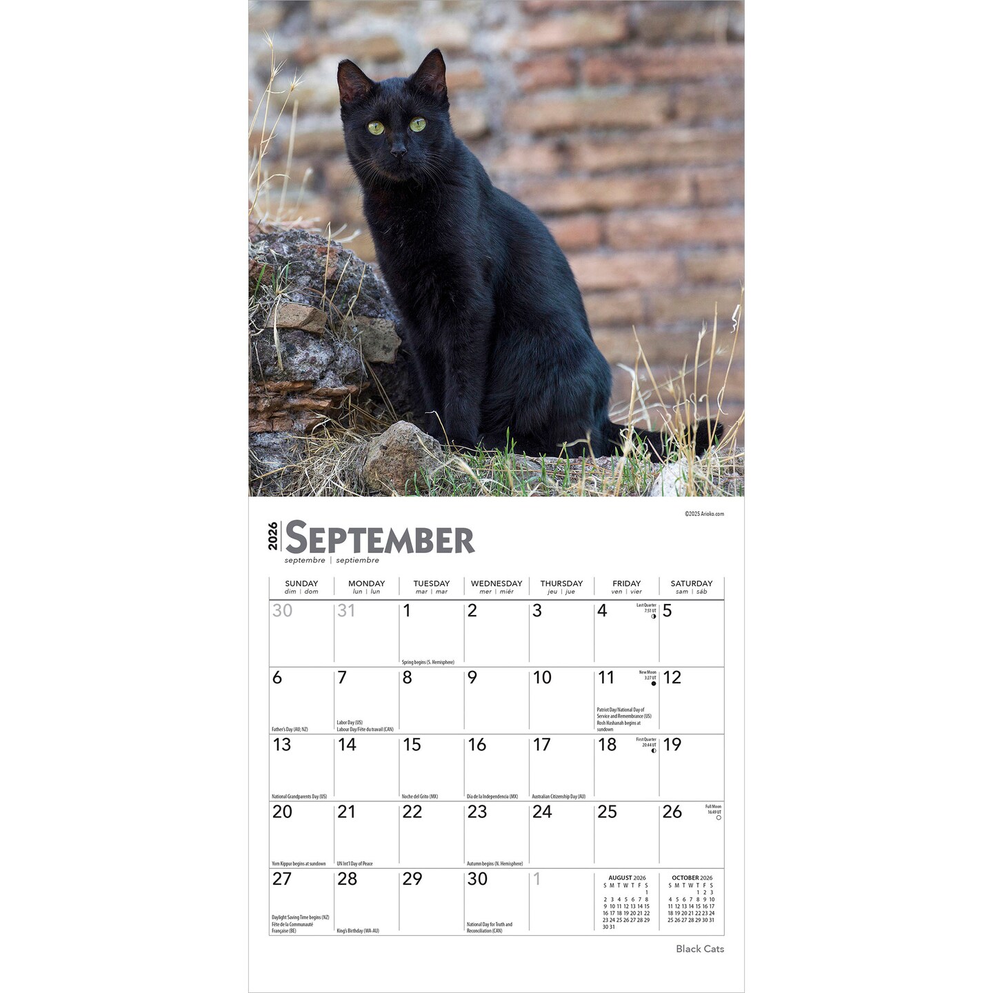 Black Cats | 2026 7 x 14 Inch (Hanging) Monthly Mini Wall Calendar