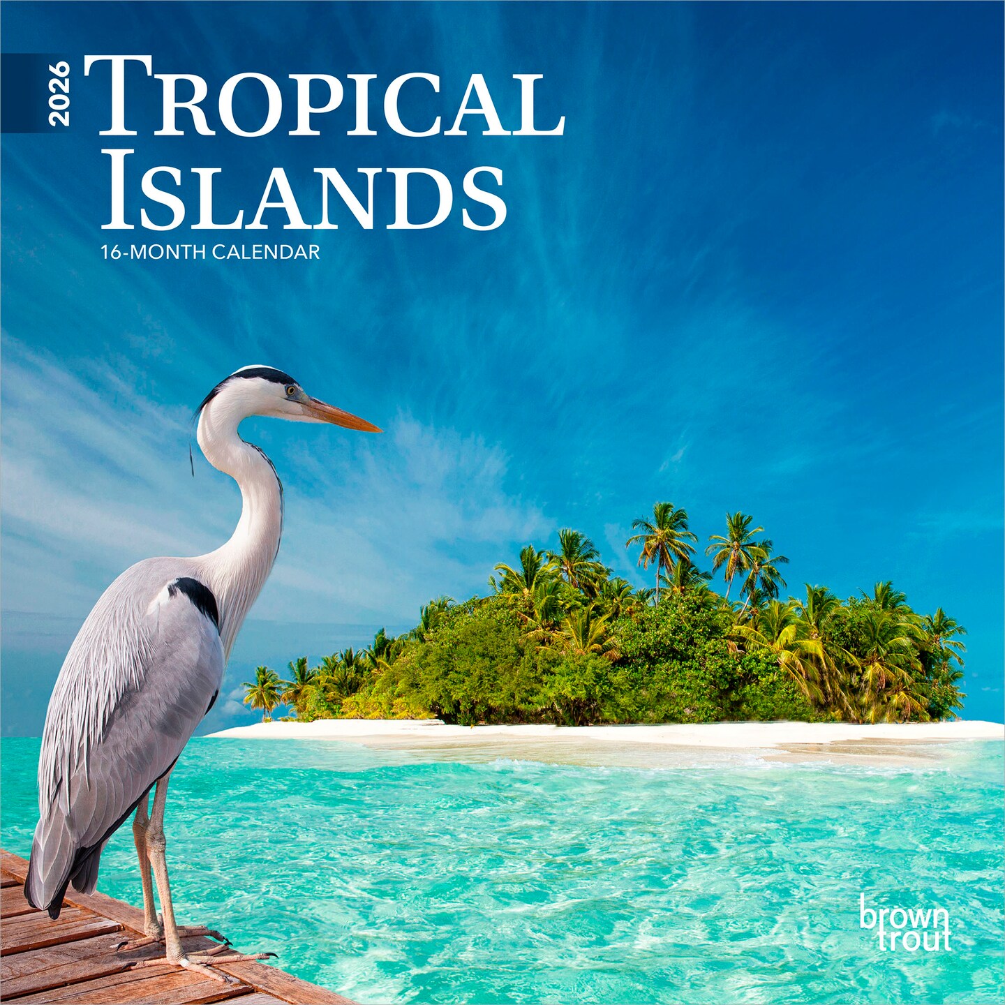 Tropical Islands | 2026 7 x 14 Inch (Hanging) Monthly Mini Wall Calendar