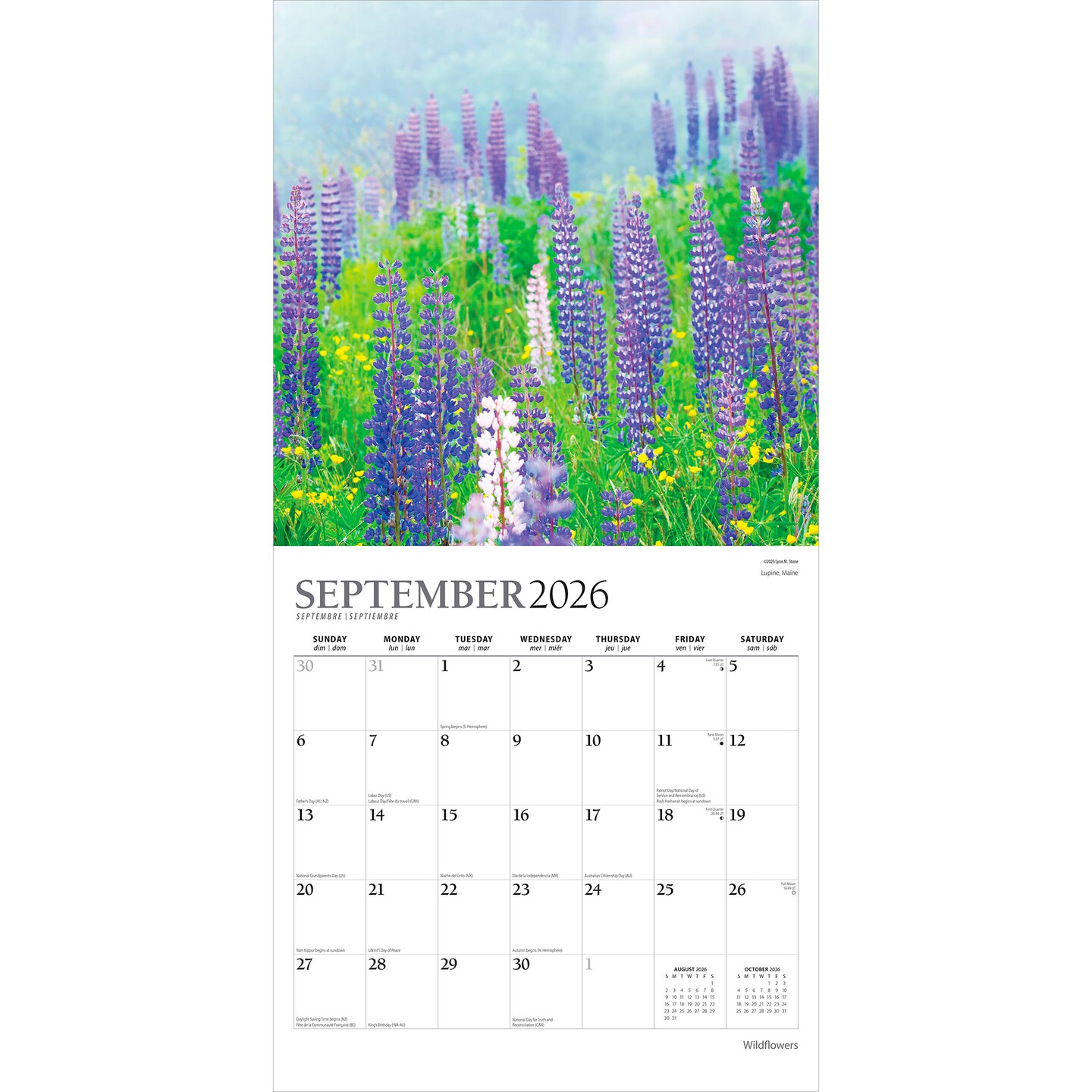 Wildflowers | 2026 12 x 24 Inch (Hanging) Monthly Square Wall Calendar | Foil Stamped Cover