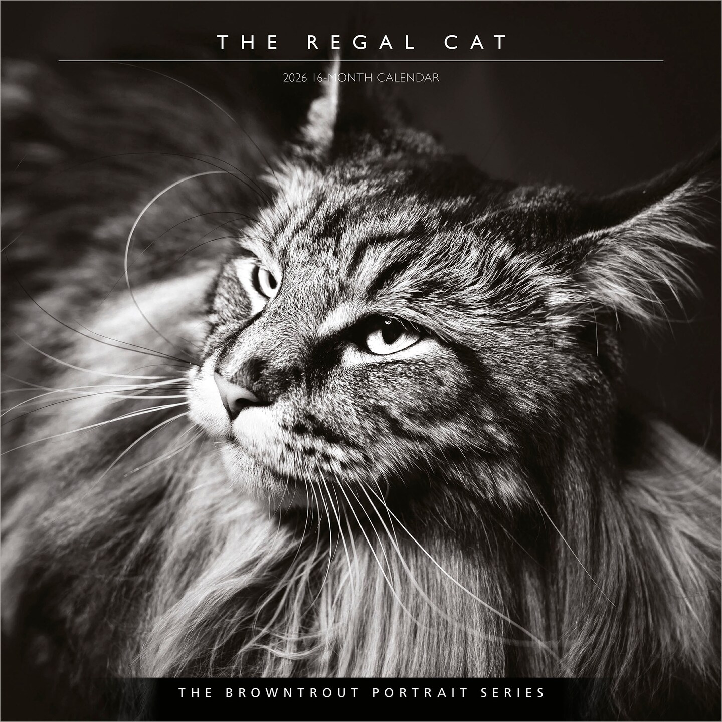 The BrownTrout Portrait Series: The Regal Cat | 2026 12 x 24 Inch (Hanging) Monthly Square Wall Calendar | Plastic-Free