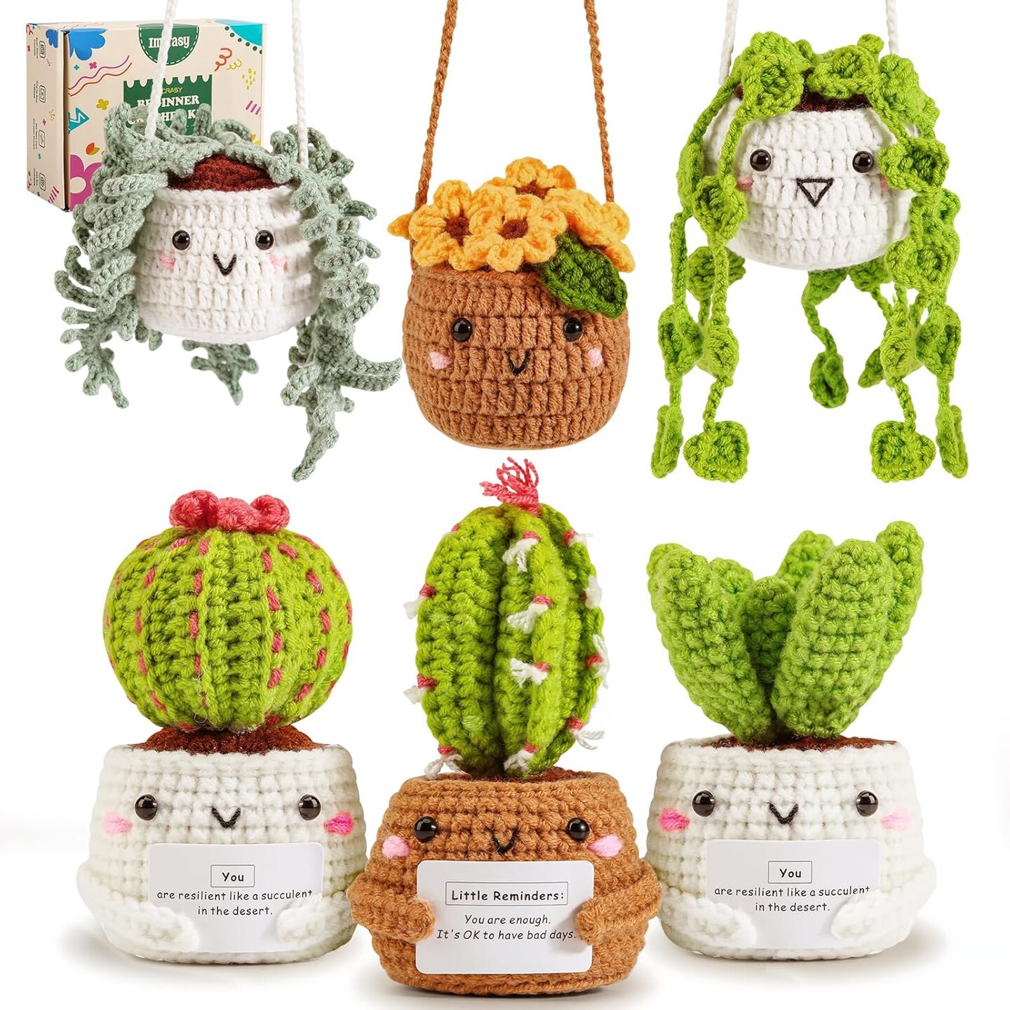 Crochet Kit for Beginners with Step by Step Video Lessons | 6 PC Potted Plants and Succulent Family Crochet Kit with Accessories