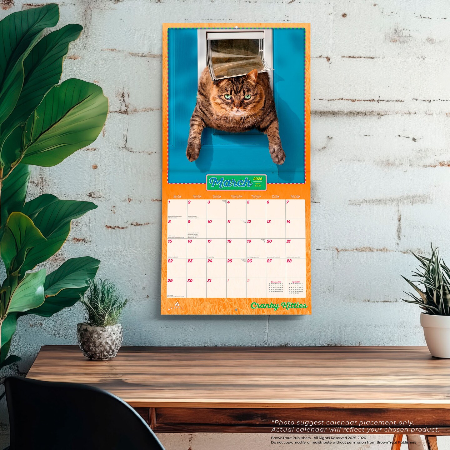 Avanti Cranky Kitties OFFICIAL | 2026 12 x 24 Inch (Hanging) Monthly Square Wall Calendar | Foil Stamped Cover | Plastic-Free | BrownTrout | Angry Cat Humor Feline