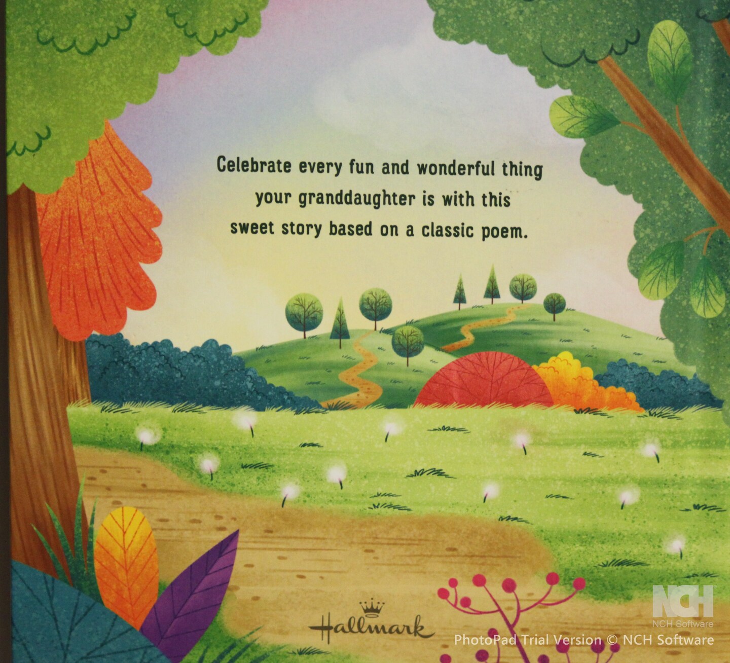 Hallmark What Are Granddaughters Made Of? Recordable Storybook