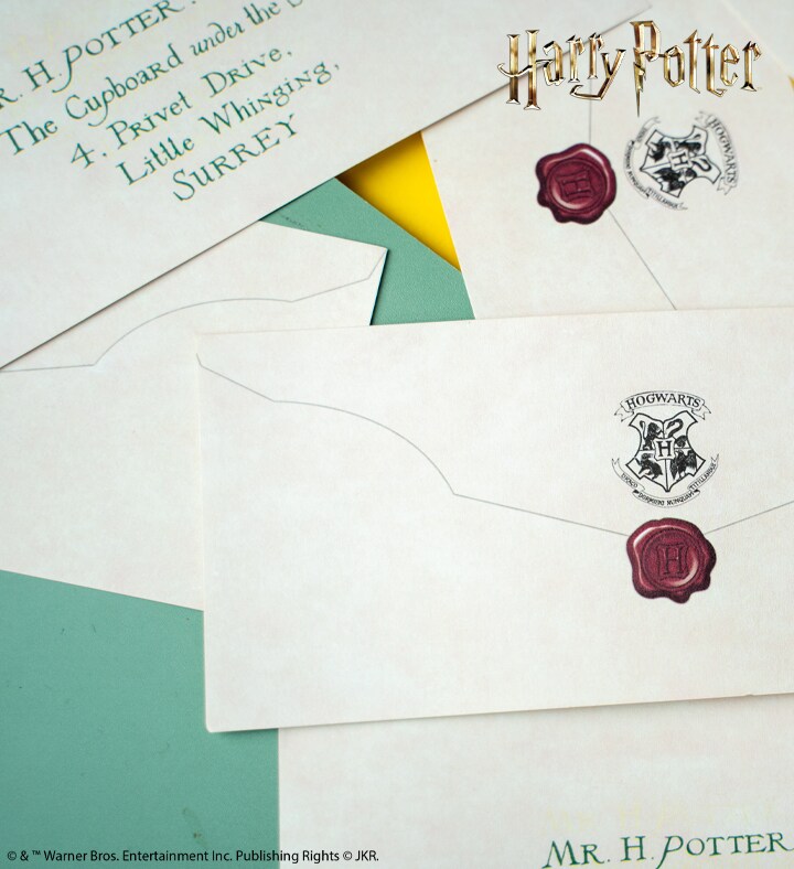 Dad&#x27;s Harry Potter Acceptance Letter Bundle