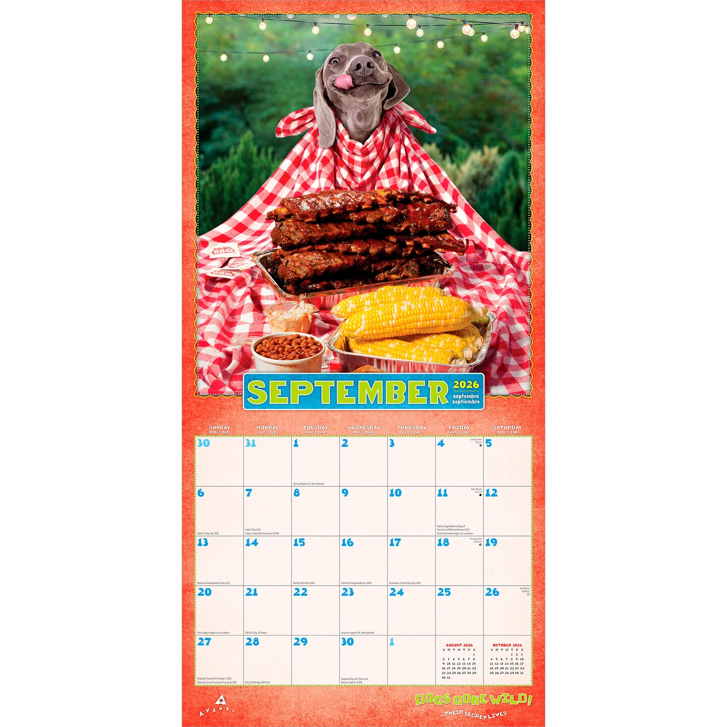 Avanti Dogs Gone Wild OFFICIAL | 2026 12 x 24 Inch (Hanging) Monthly Square Wall Calendar | Plastic-Free | BrownTrout | Canine Pet Humor
