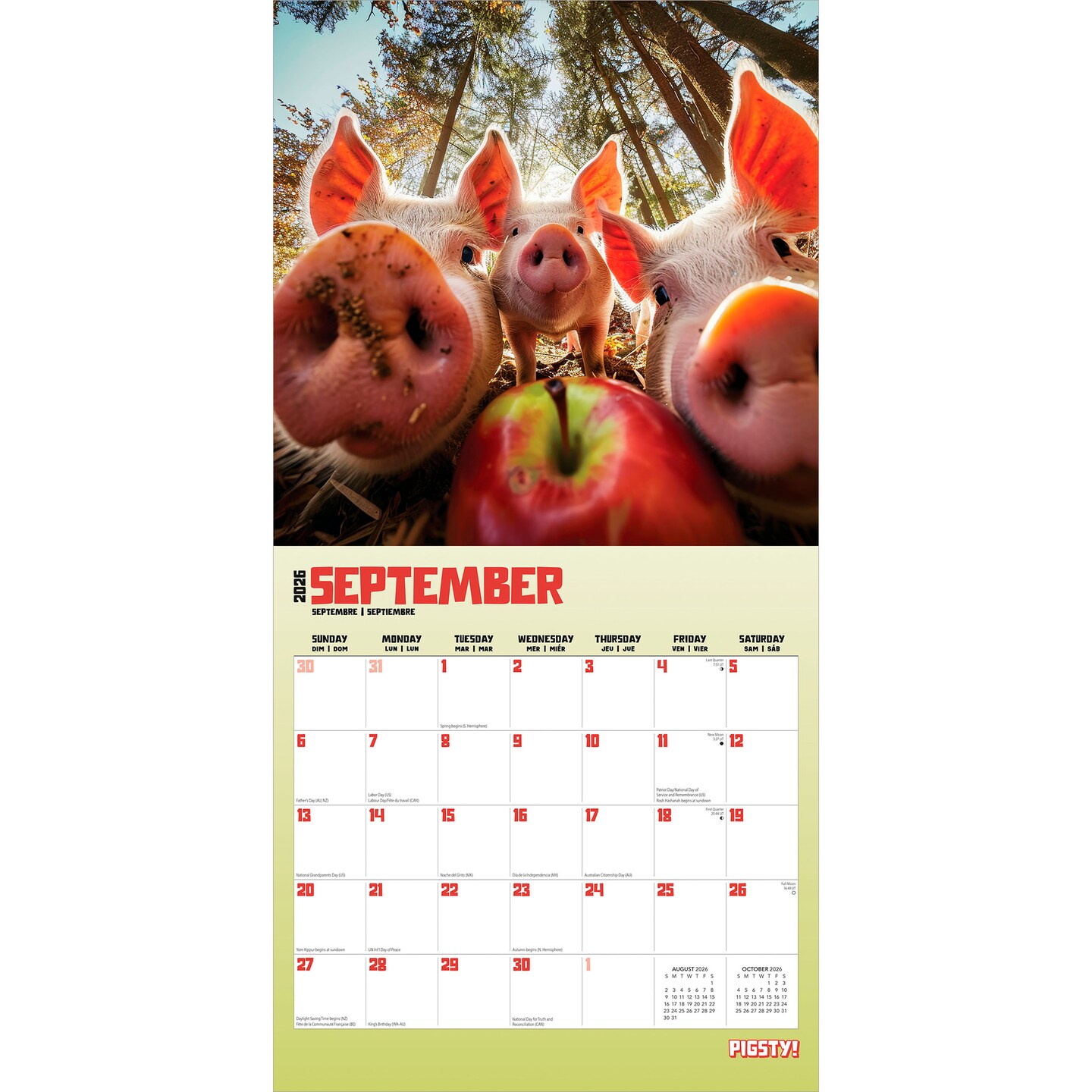 Pigsty | 2026 12 x 24 Inch (Hanging) Monthly Square Wall Calendar | Plastic-Free | BrownTrout | Domestic Pet Farm Animals