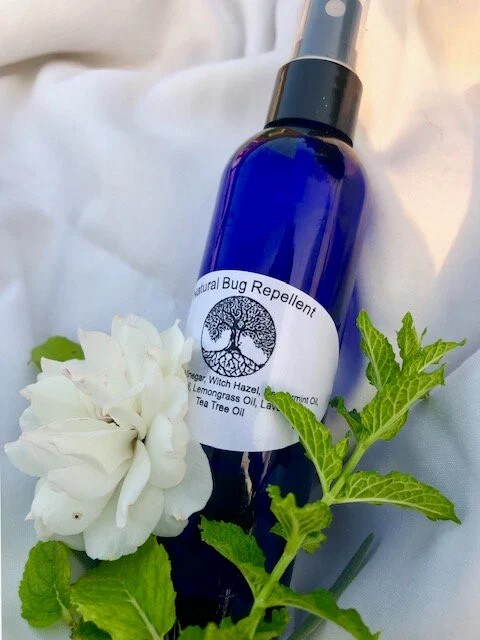 lavender mint tea tree shampoo Paul Mitchell® Tea Tree Lavender Mint Shampoo