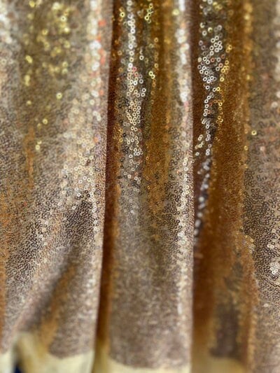 1 Yard Glitz Sequin Fabric Sparkling Mesh Material for Costumes Backdrops and Decor 50/54 Inches Wide