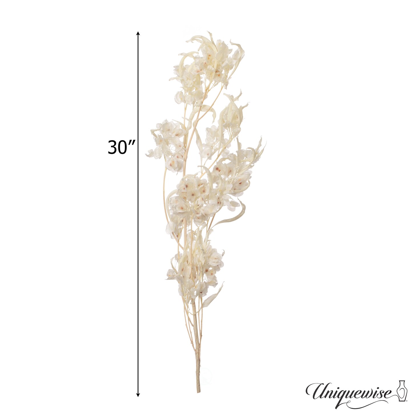 Uniquewise Preserved Real Floral Stems Chic Vase Fillers &#x26; Accents for Bouquets Centerpieces &#x26; Ornamental Displays Ideal for Home Office Boutique Cafe Resto Bar and Event Decor