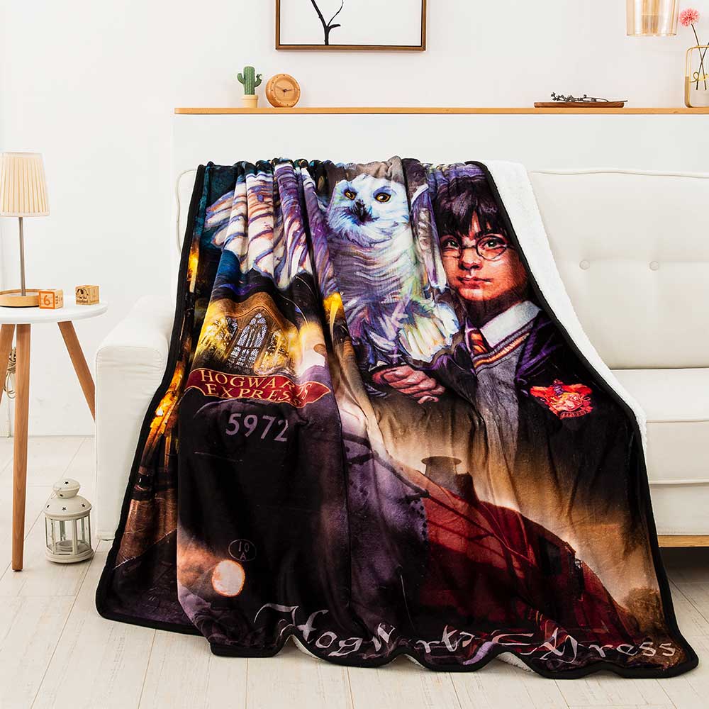 Warner Bros. Harry Potter Magic Montage Silk Touch Sherpa Blanket 60x80 Inches