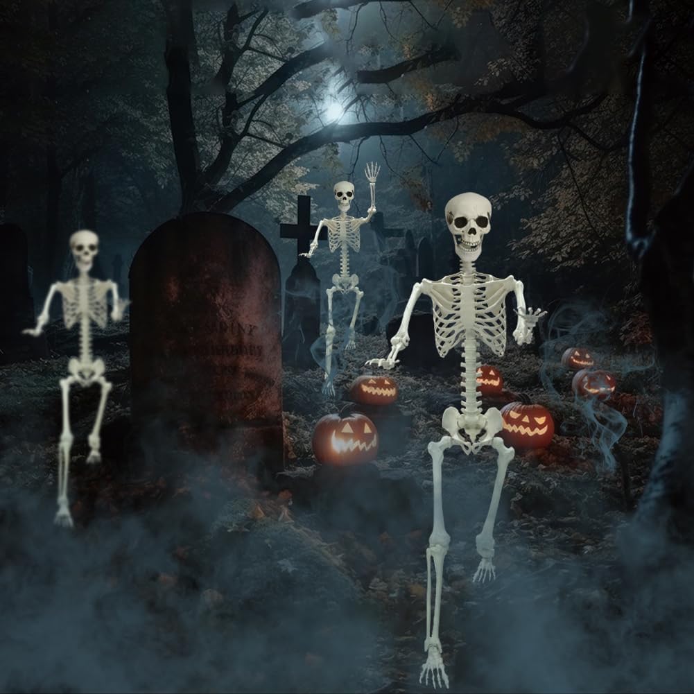 Life Size Poseable Skeleton for Halloween