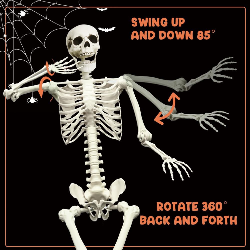 Life Size Poseable Skeleton for Halloween