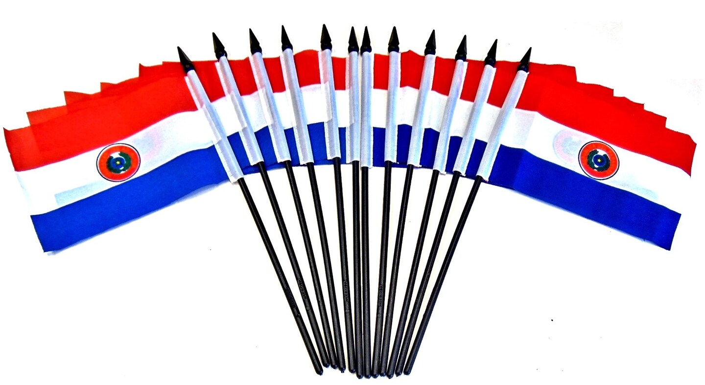Pack of 12 Paraguay Mini Flags – 4"x6" Polyester Desk & Hand Waving Set