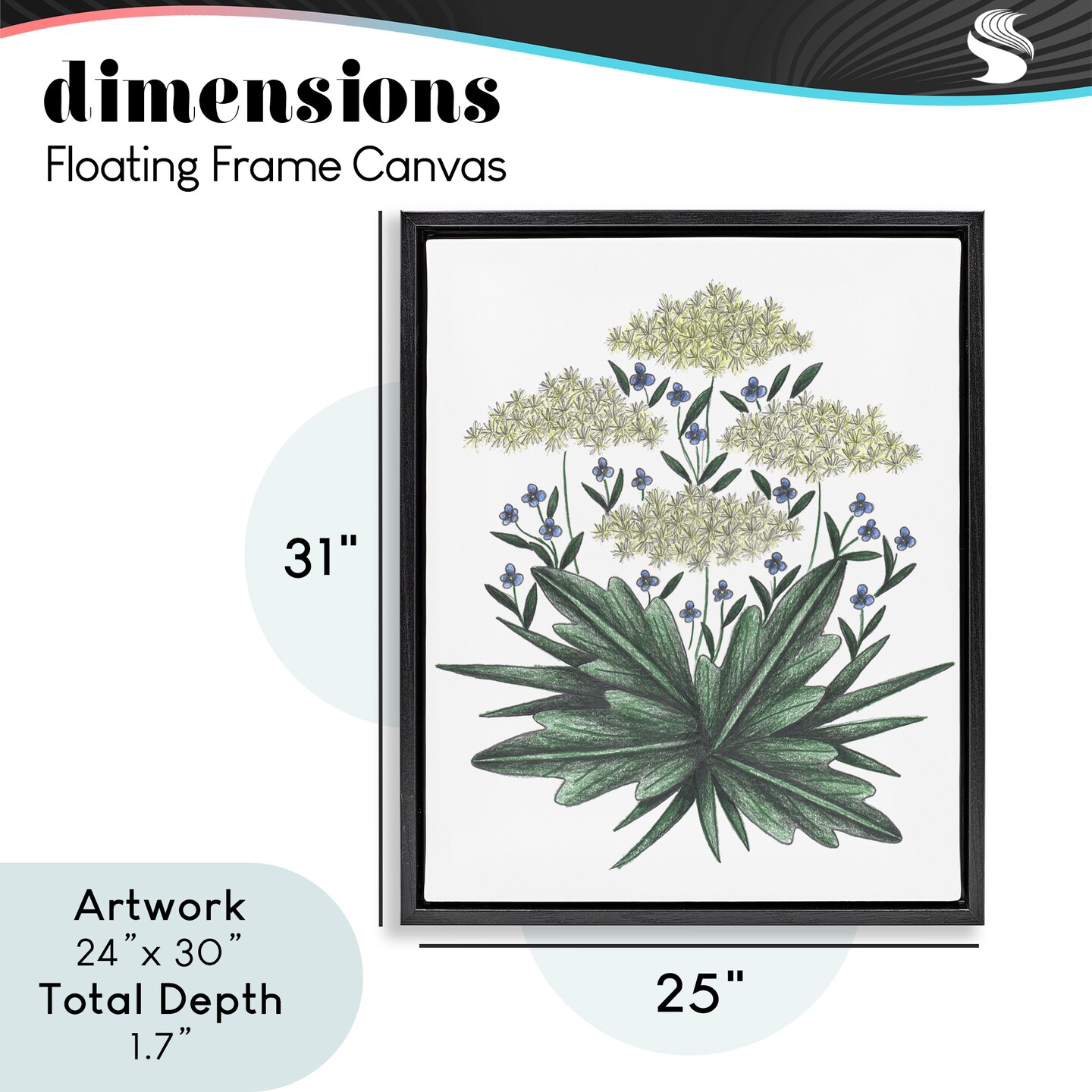 Stupell Industries New Roots Vintage Sketch Floating Frame, design by Cecilia Battaini