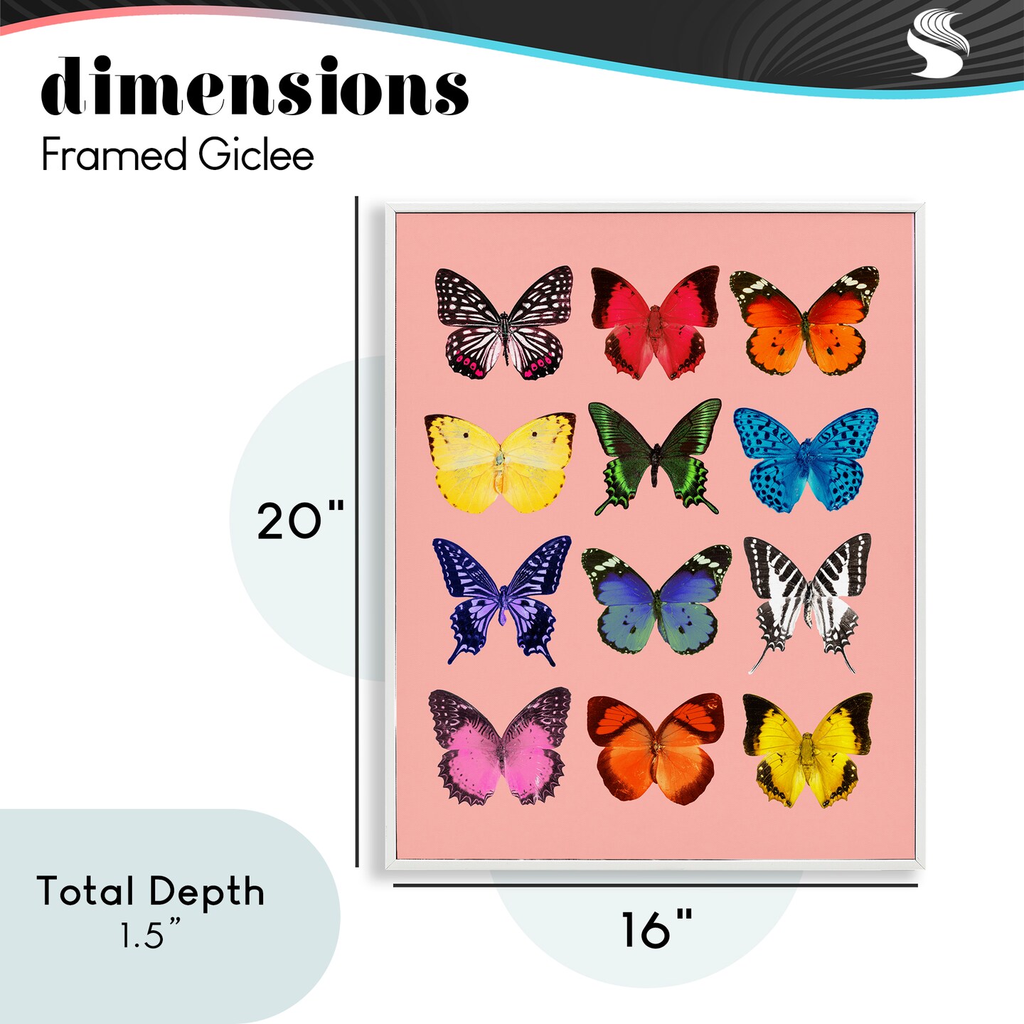 Stupell Industries Butterfly Species on Pink Framed Giclee, design by LISH Creative