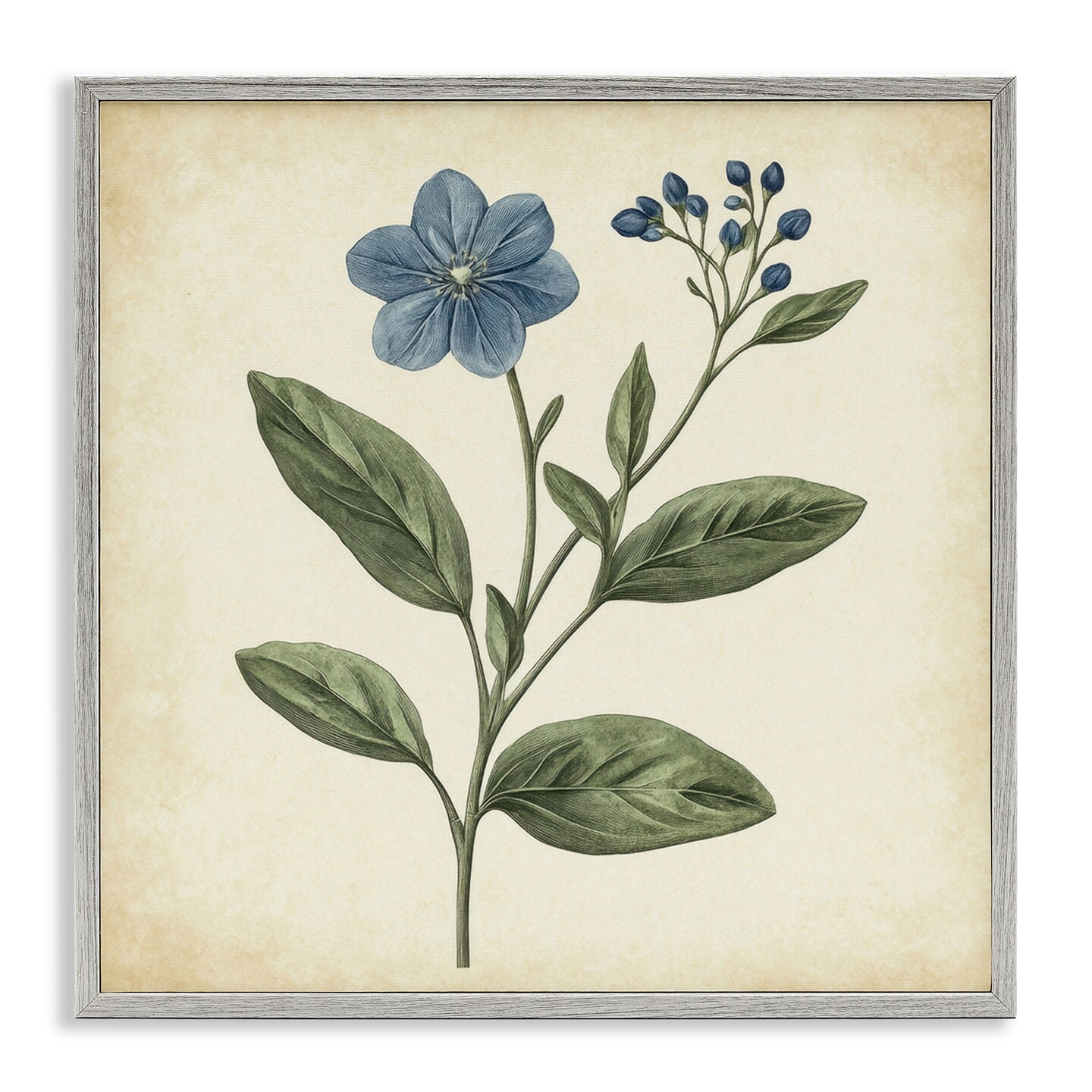Stupell Industries Vintage Blue Blossoms Wildflower Framed Giclee, design by Petal Prints Design