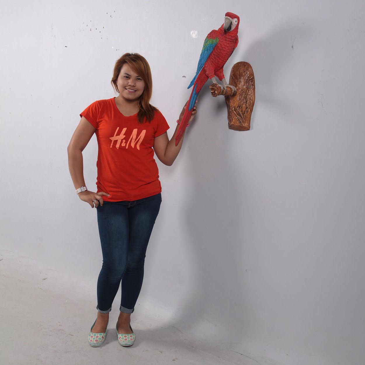 Red Macaw Parrot Wall Decor Life Size Statue
