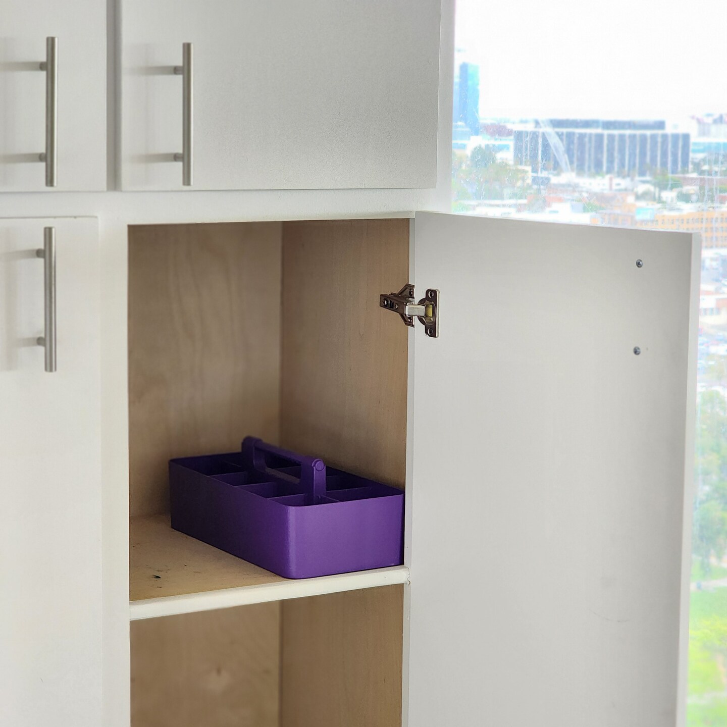 Enjoy Organizer Portable Caddy with Handle – 8-Compartment Storage Bin with Removable Dividers for Office, Crafts, and Home – Made in USA