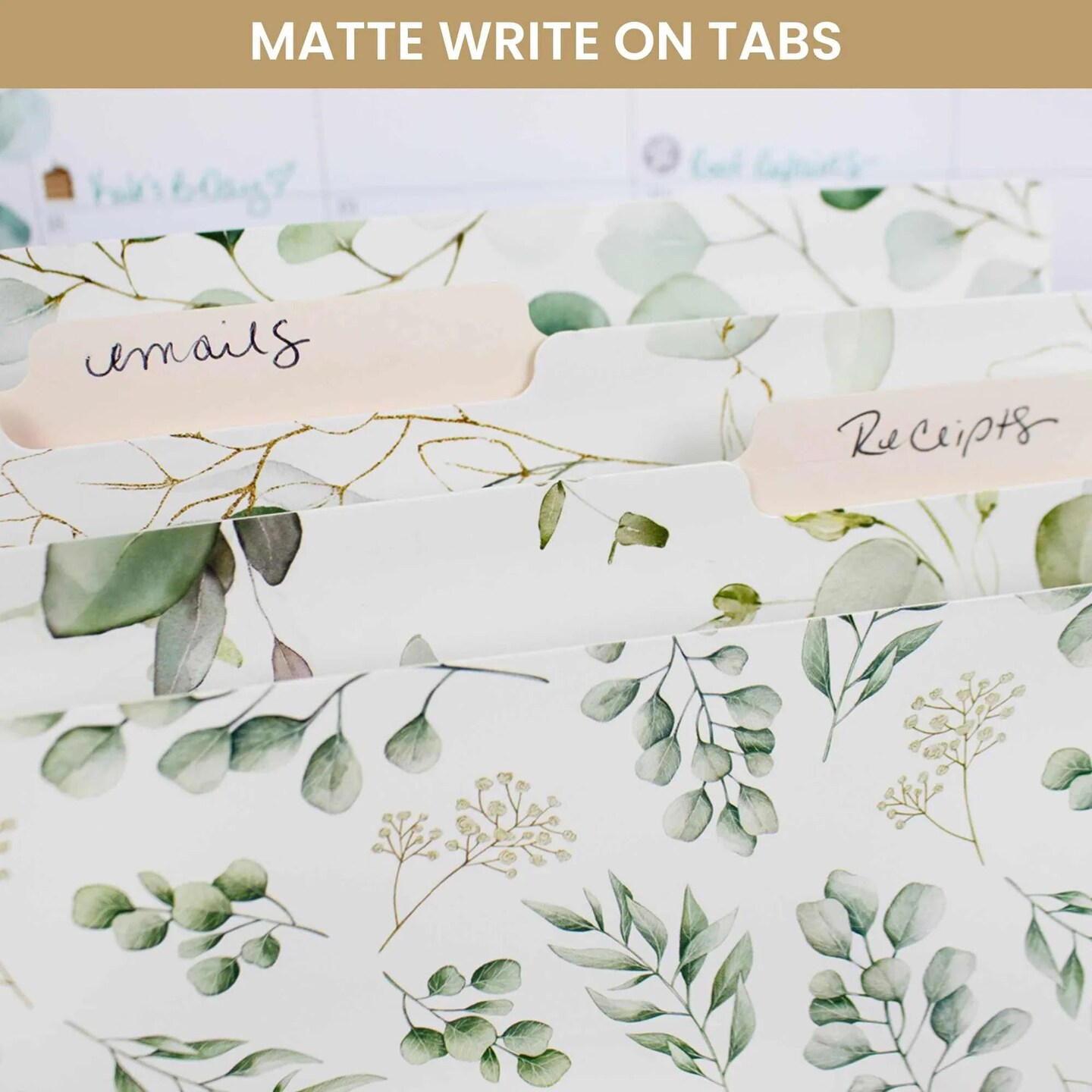 bloom daily planners Eucalyptus File Folder Set 12 Pack Letter Size