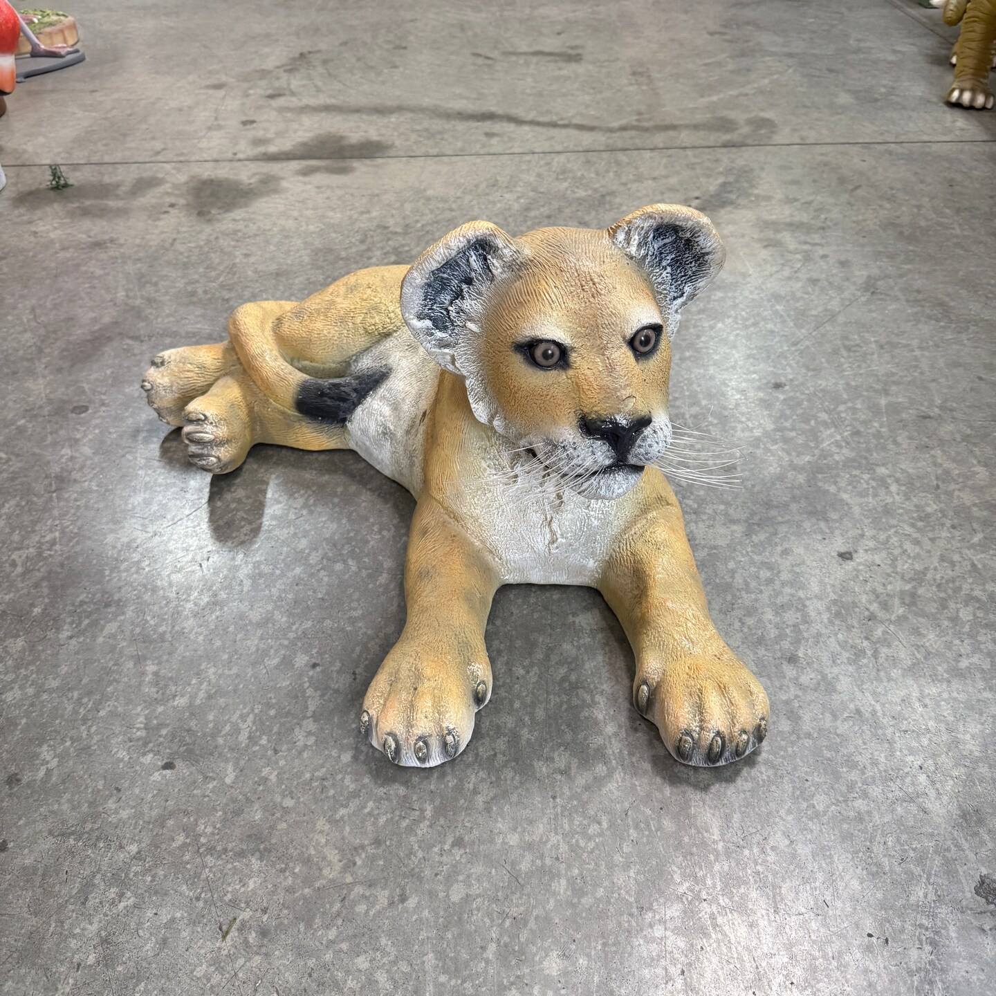 Laying Lion Cub Life Size Statue