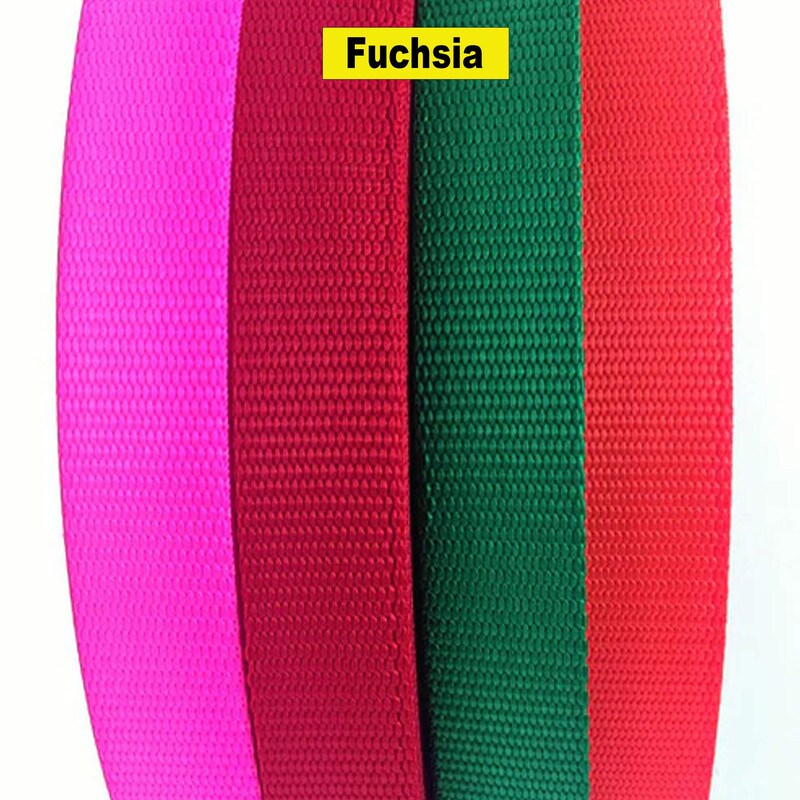 1 Inch Wide Nylon Webbing Sold by the yard