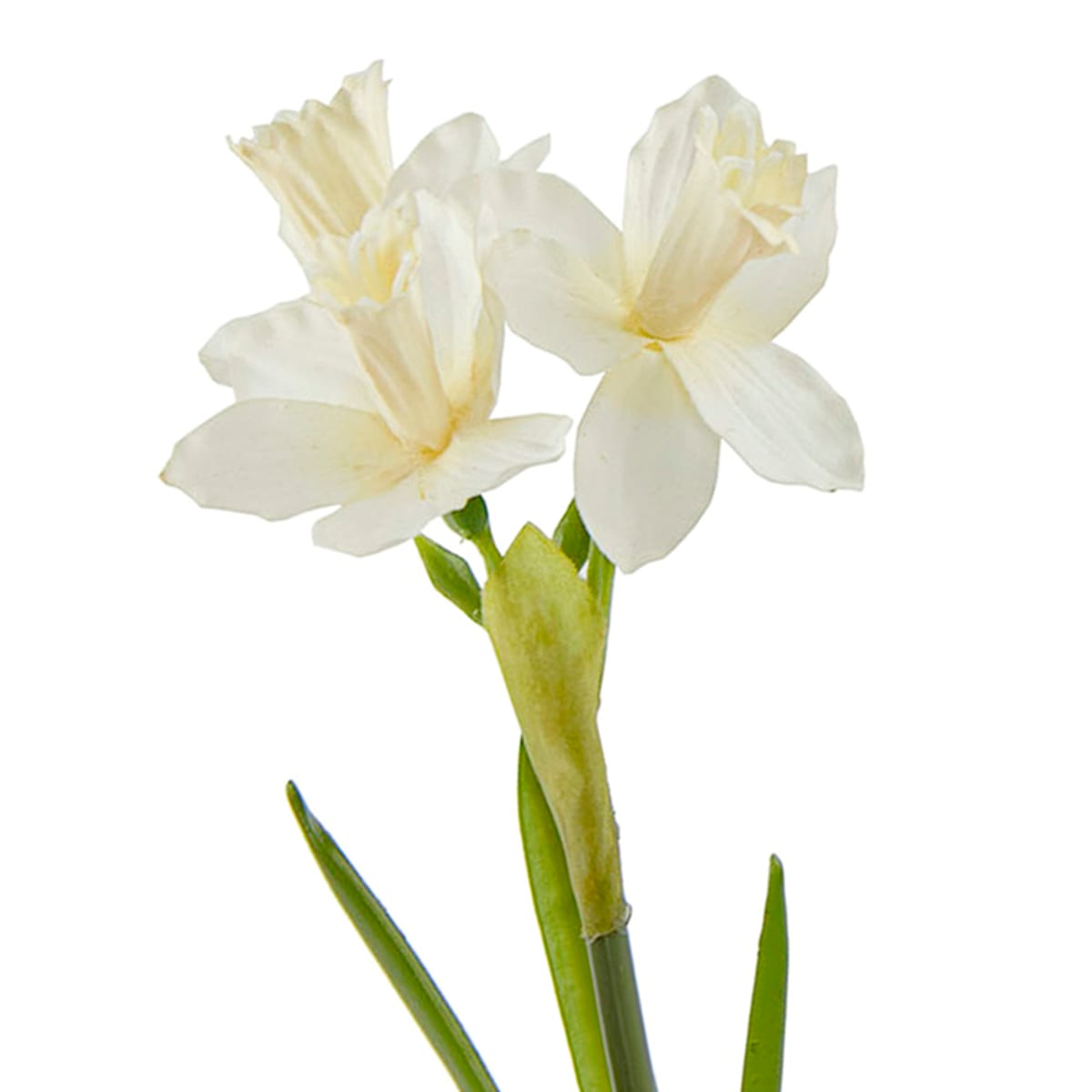 20.5&#x22; Natural Touch White Daffodils