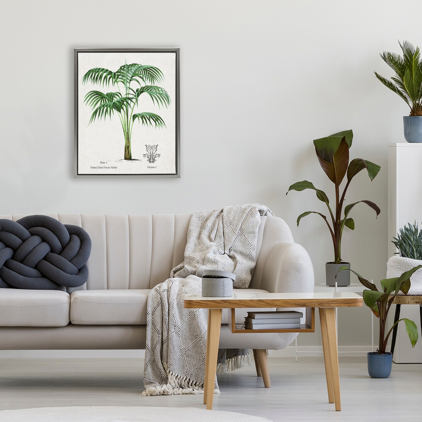 Stupell Industries Vintage Palm Illustration Floating Frame, design by Val Rhodes