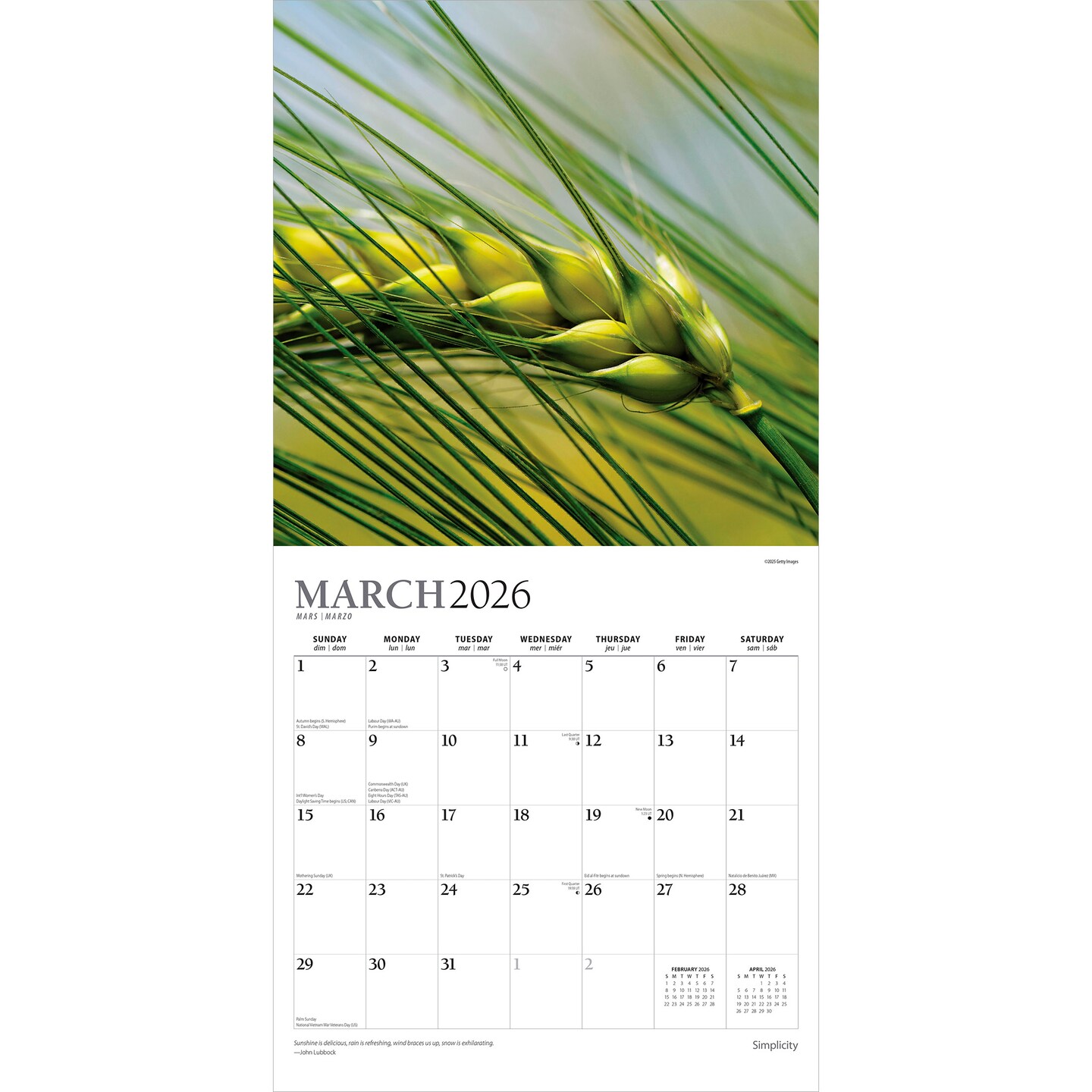 Simplicity | 2026 12 x 24 Inch (Hanging) Monthly Square Wall Calendar | Foil Stamped Cover