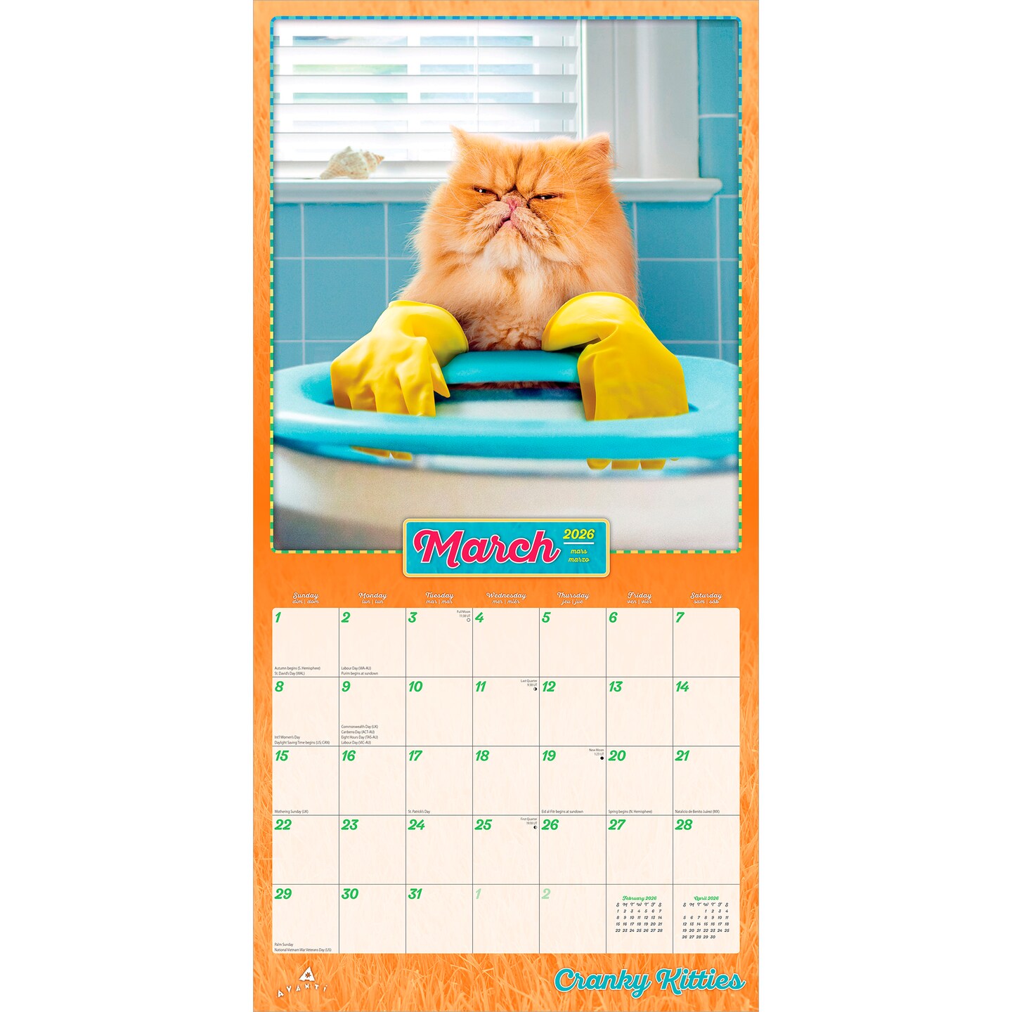 Avanti Cranky Kitties OFFICIAL | 2026 12 x 24 Inch (Hanging) Monthly Square Wall Calendar