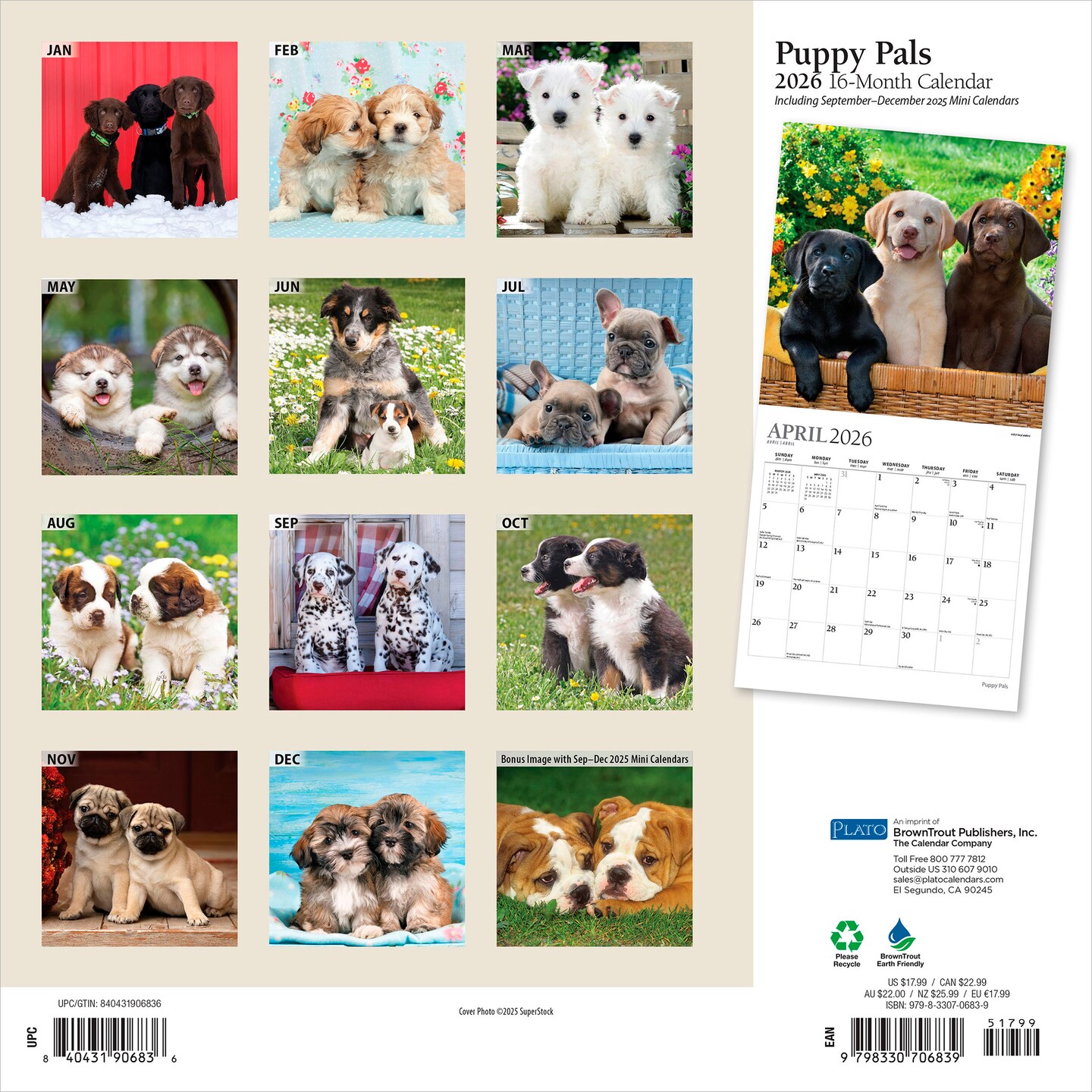 Puppy Pals | 2026 12 x 24 Inch (Hanging) Monthly Square Wall Calendar | Foil Stamped Cover