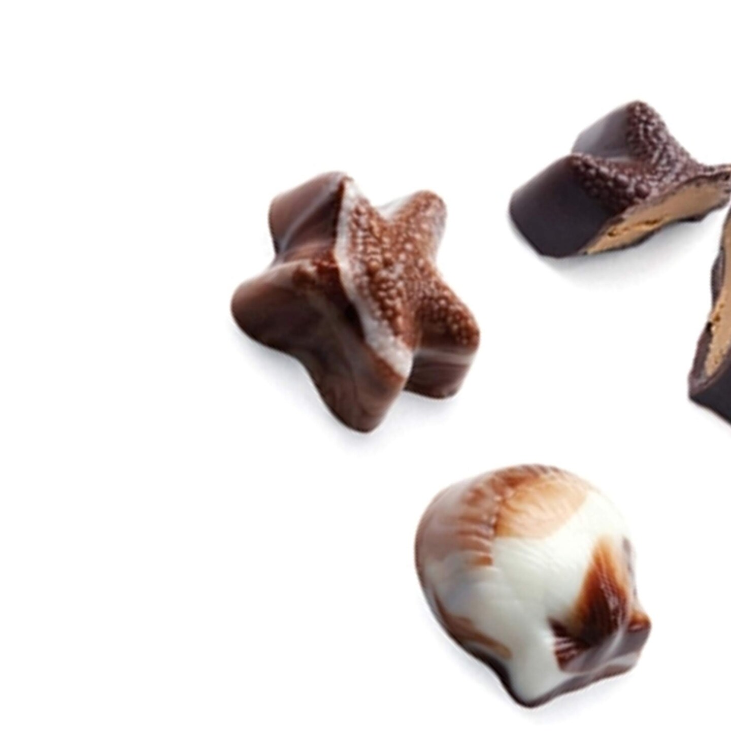 Seashell Continental Chocolate Mold for Elegant Party Favors