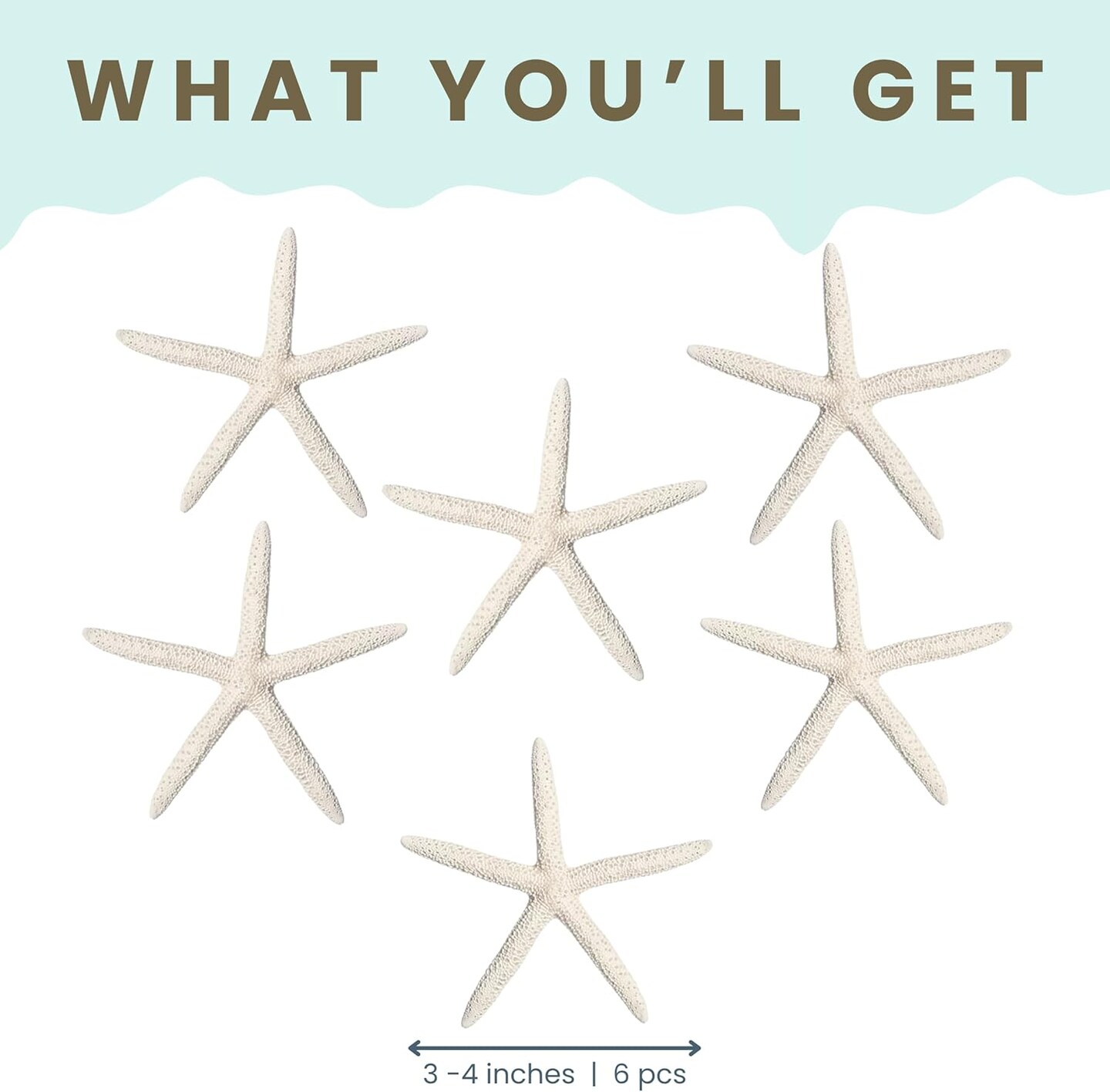 Starfish Decor - Star Fish for Craft - 6pk Real 3-4&#x22; White Sea Stars - Beach Wedding Decor - Coastal Party Decorations - Seashell Decor