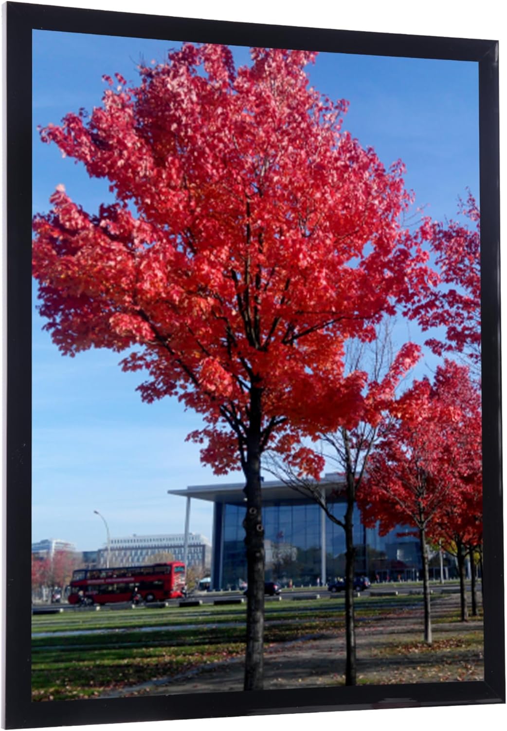 8x10 Picture Frame Black, Display Pictures 8x10 Document Certificate Frames, Wall Hanging Photo Frame, 1 Pack