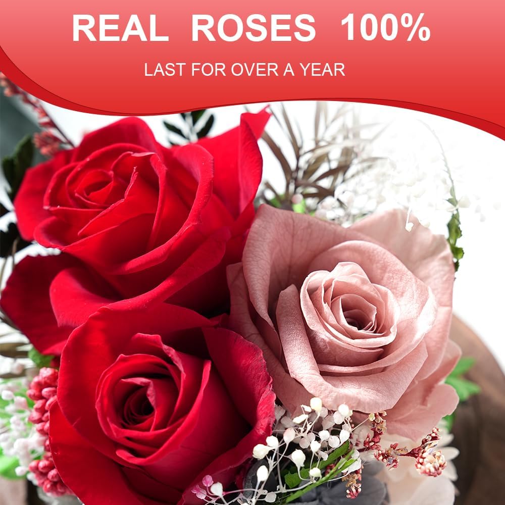 Preserved Flowers in Glass Dome, Long-Lasting Eternal Roses Birthday Gifts for Women Mom Grandma Wife Girlfriend Forever Flowers for Delivery Prime